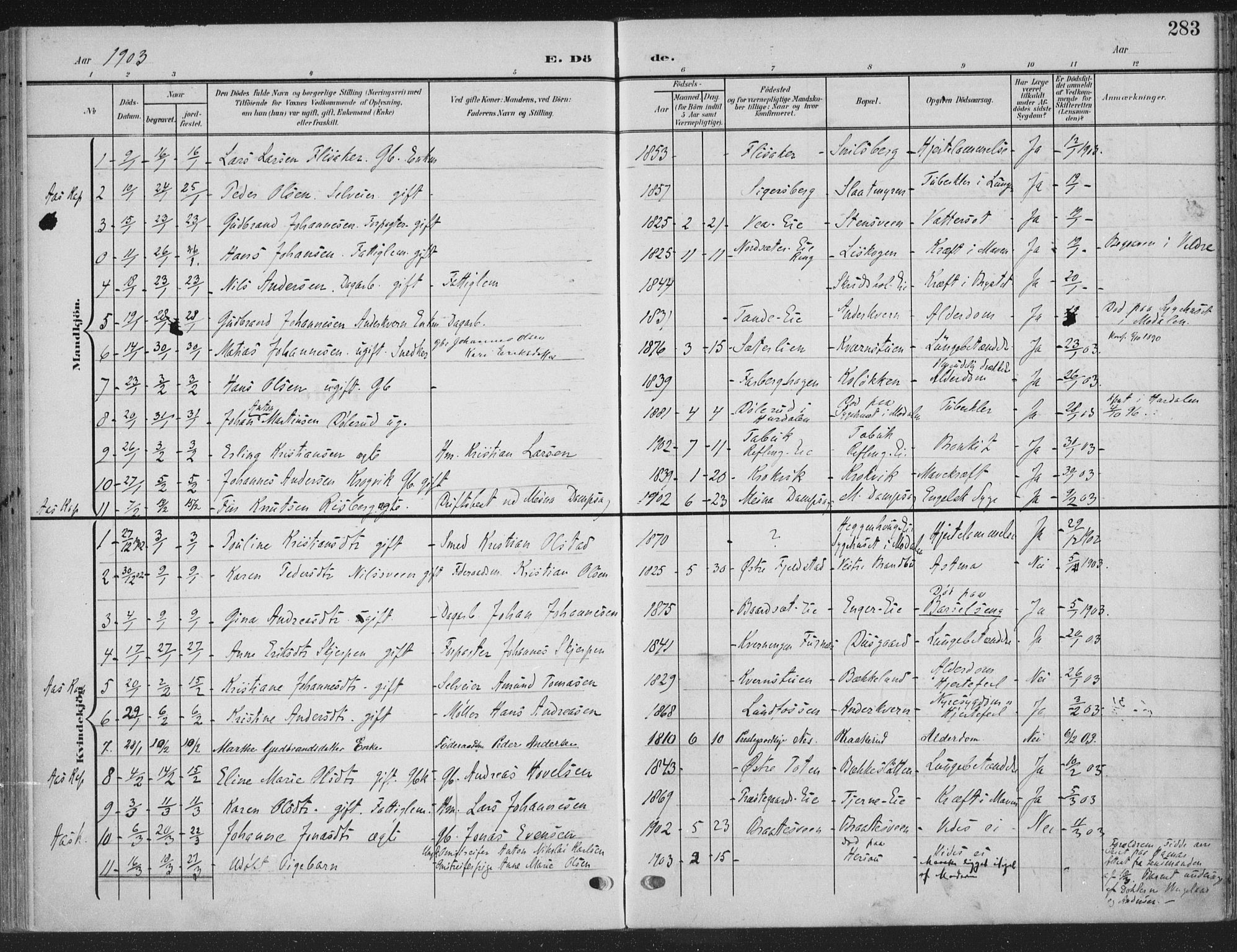 Ringsaker prestekontor, AV/SAH-PREST-014/K/Ka/L0018: Parish register (official) no. 18, 1903-1912, p. 283
