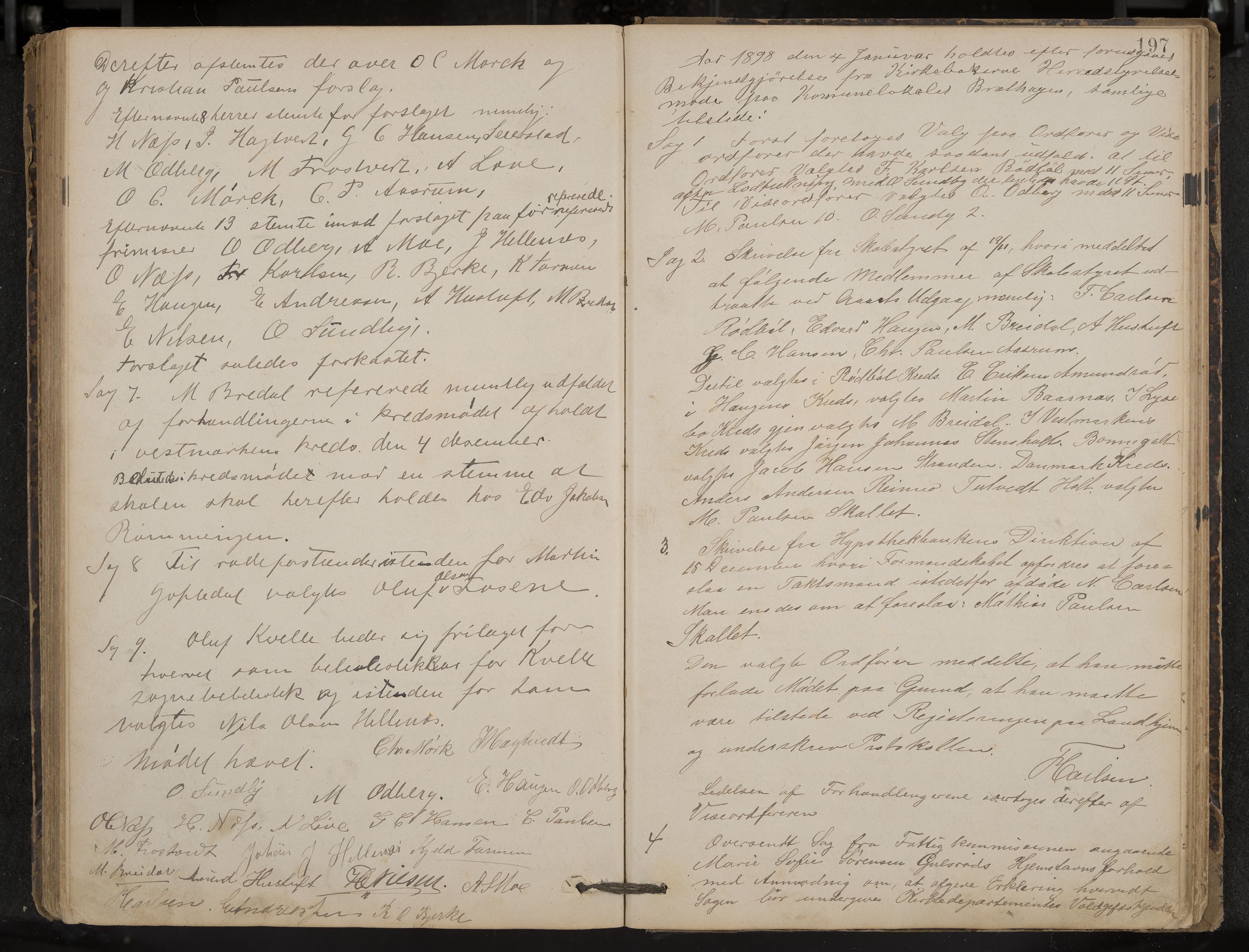Hedrum formannskap og sentraladministrasjon, IKAK/0727021/A/Aa/L0004: Møtebok, 1888-1899, p. 197