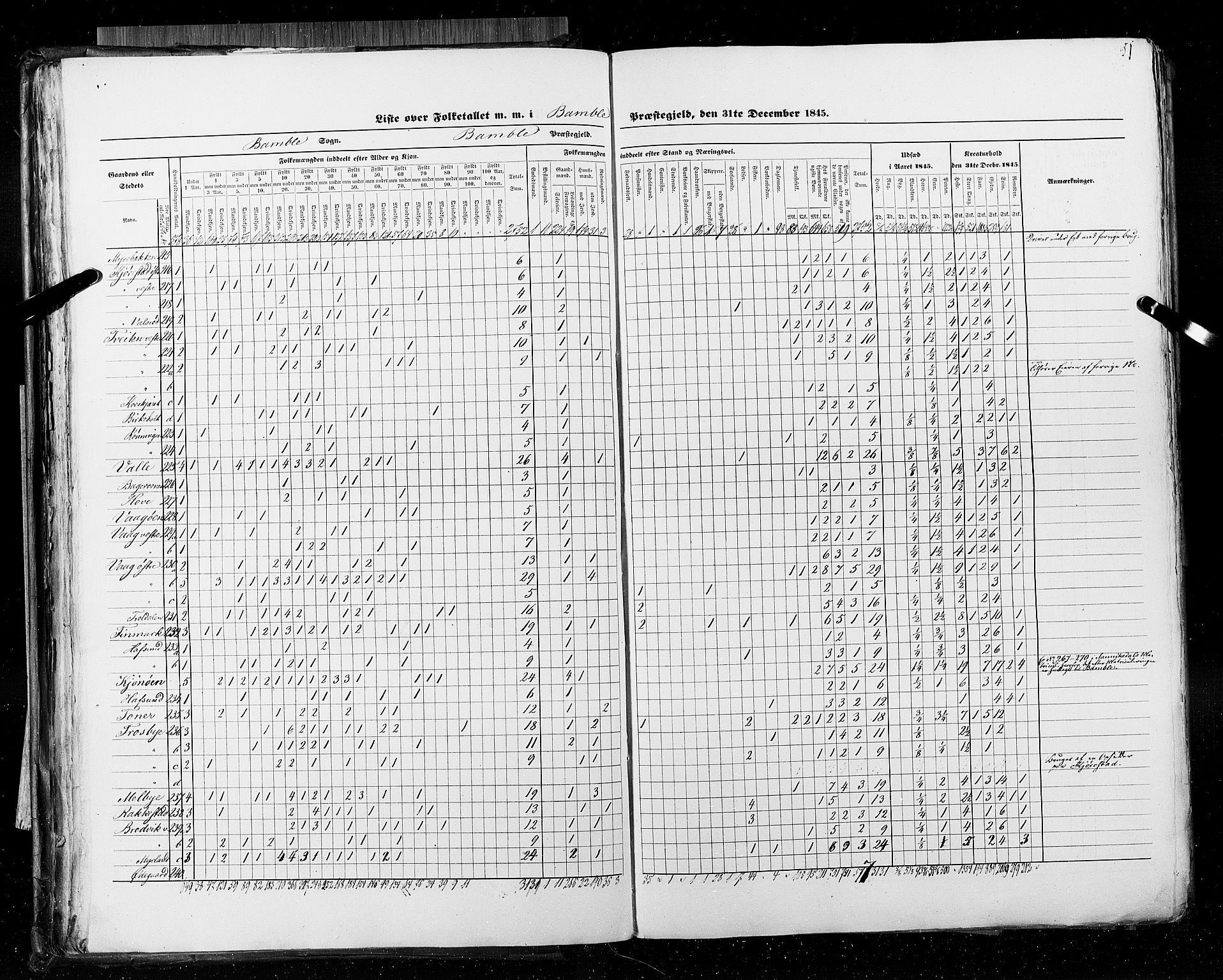 RA, Census 1845, vol. 5: Bratsberg amt og Nedenes og Råbyggelaget amt, 1845, p. 51