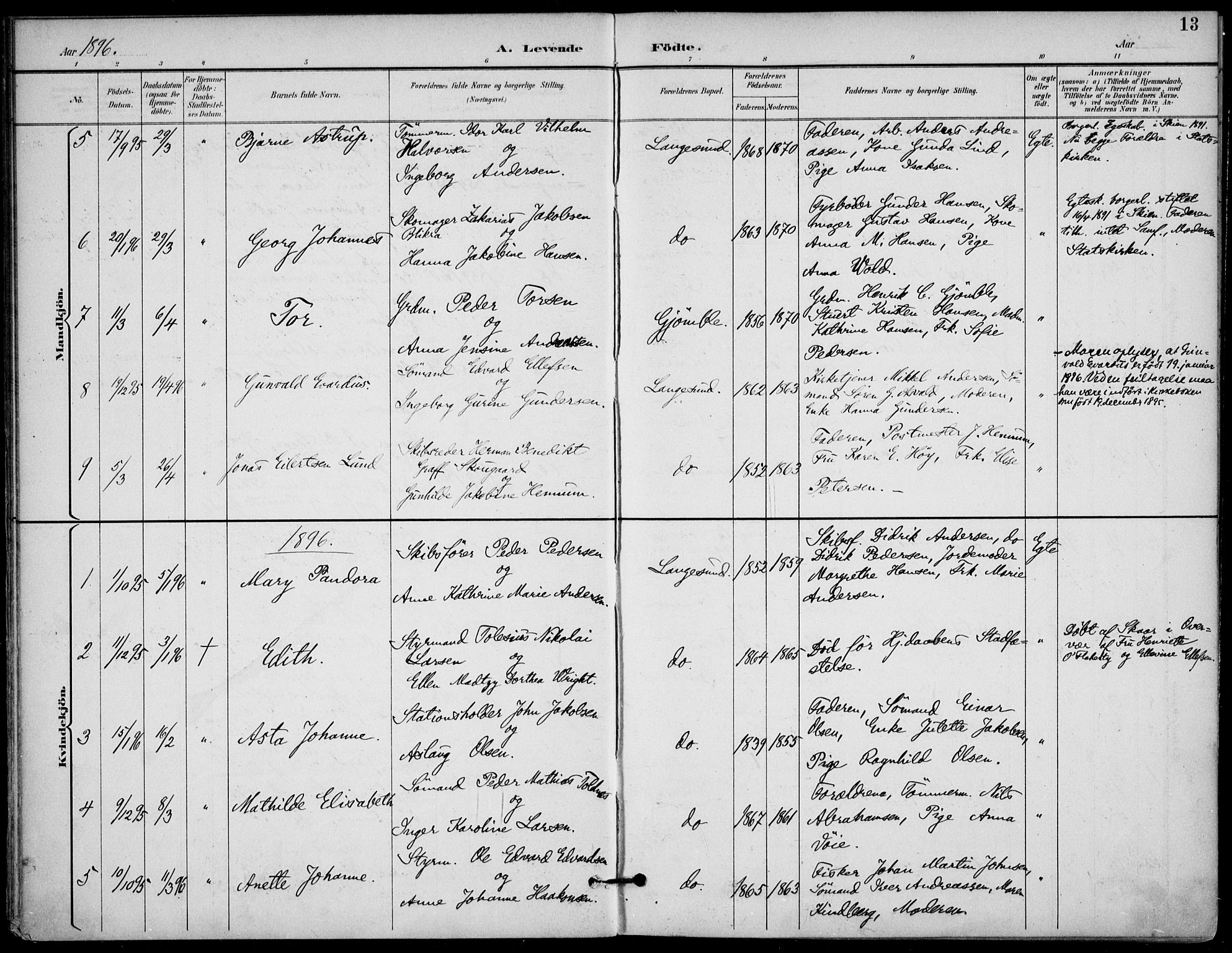 Langesund kirkebøker, SAKO/A-280/F/Fa/L0003: Parish register (official) no. 3, 1893-1907, p. 13