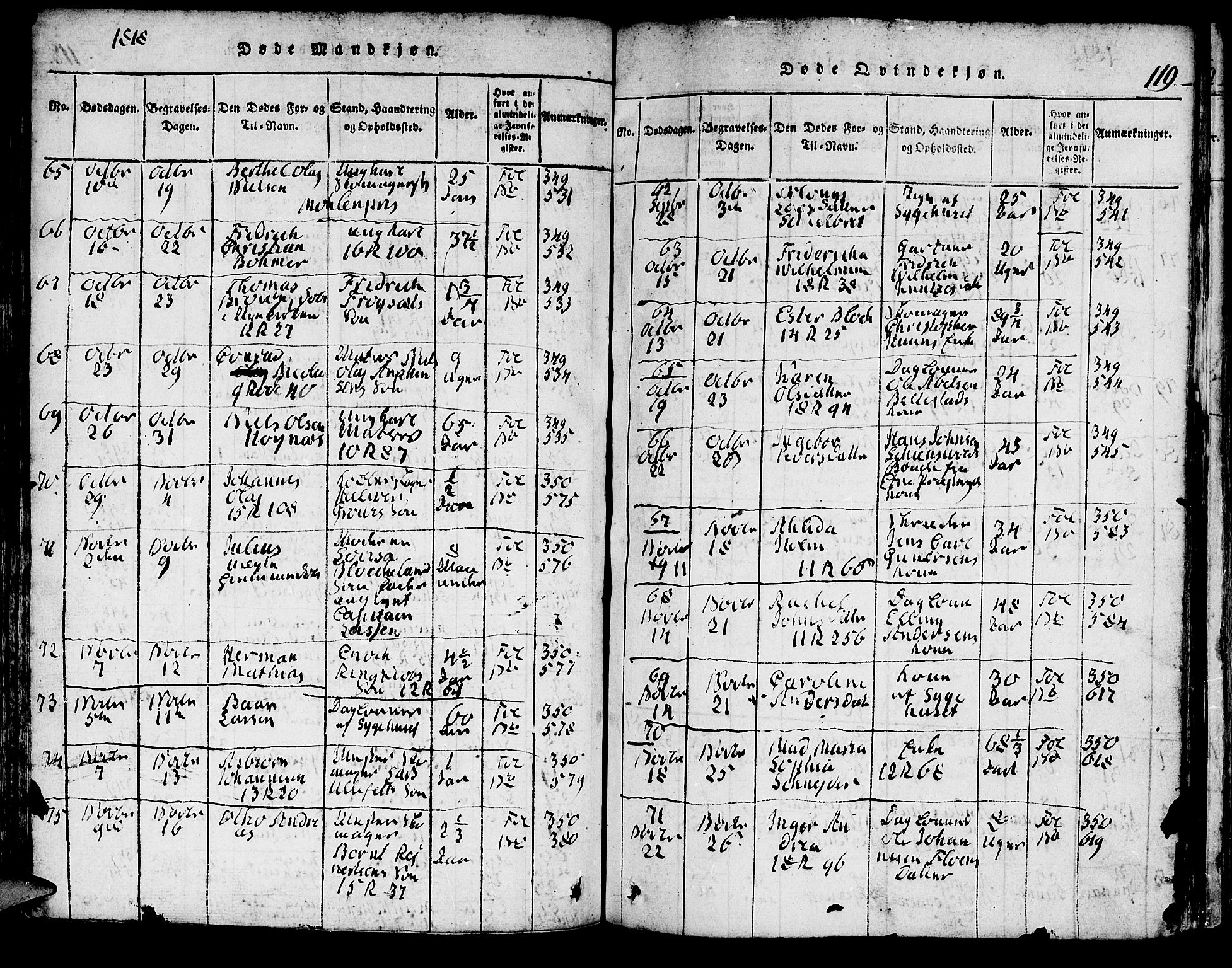 Domkirken sokneprestembete, AV/SAB-A-74801/H/Hab/L0001: Parish register (copy) no. A 1, 1816-1821, p. 119