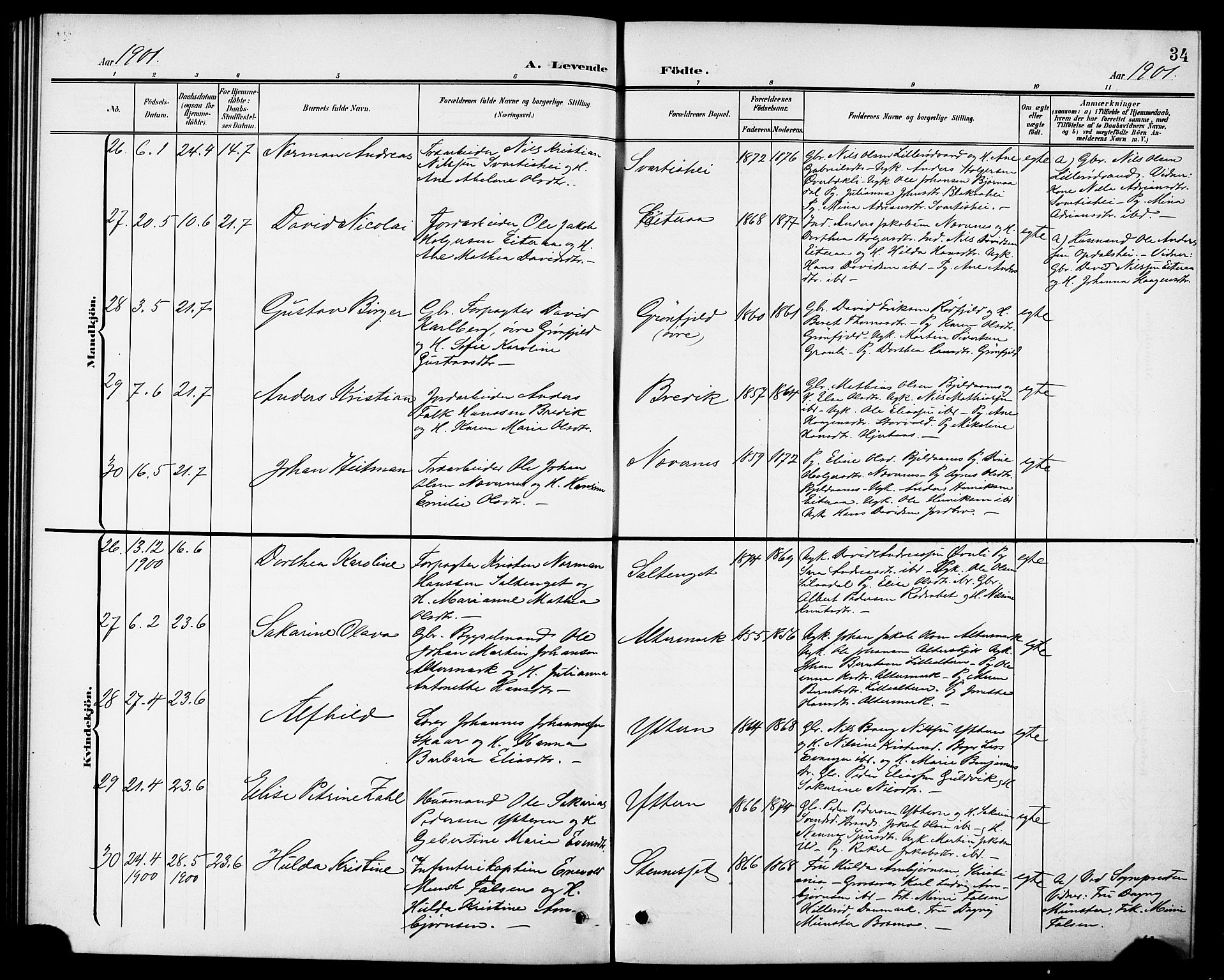 Ministerialprotokoller, klokkerbøker og fødselsregistre - Nordland, AV/SAT-A-1459/827/L0422: Parish register (copy) no. 827C11, 1899-1912, p. 34