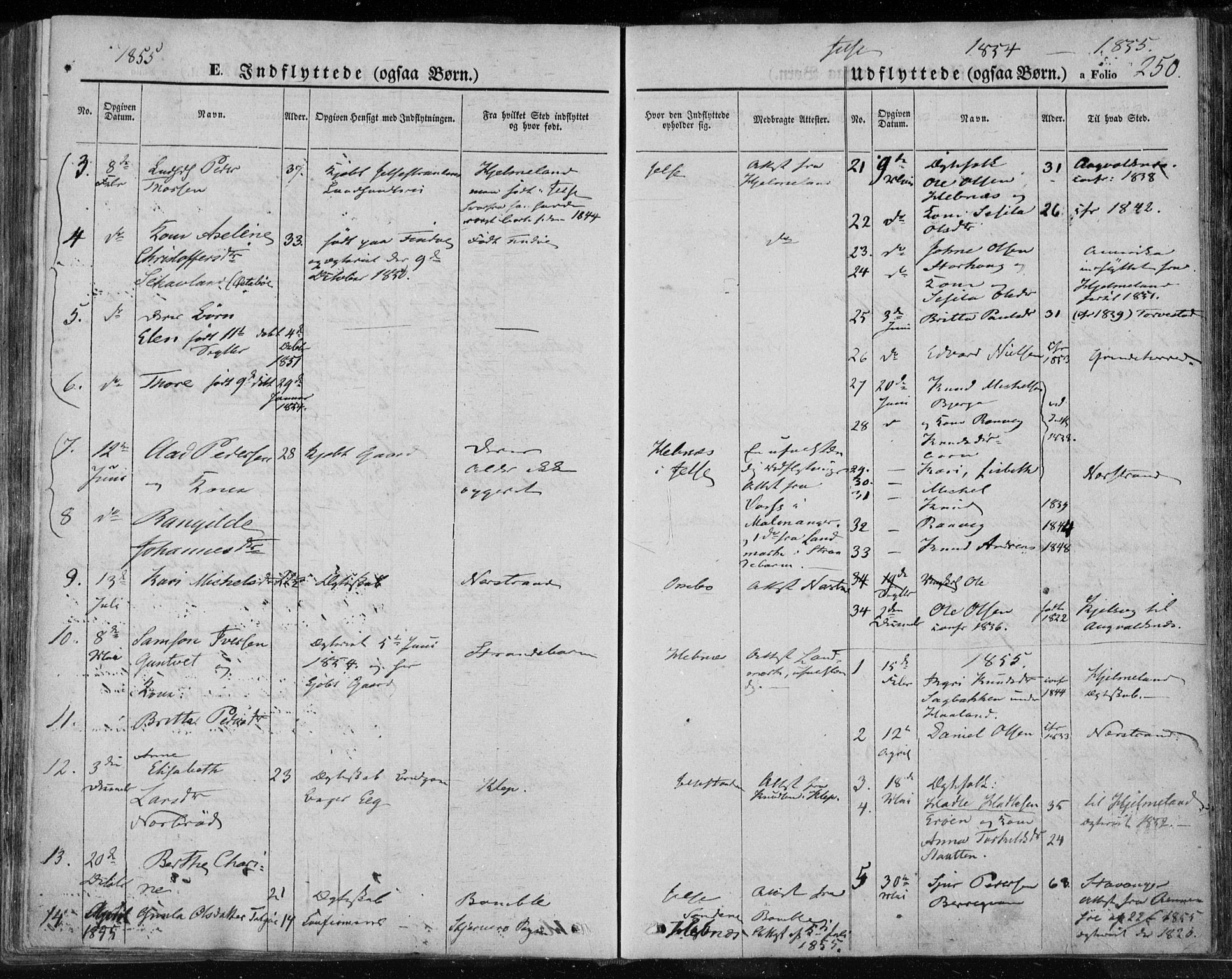 Jelsa sokneprestkontor, AV/SAST-A-101842/01/IV: Parish register (official) no. A 7, 1854-1866, p. 250