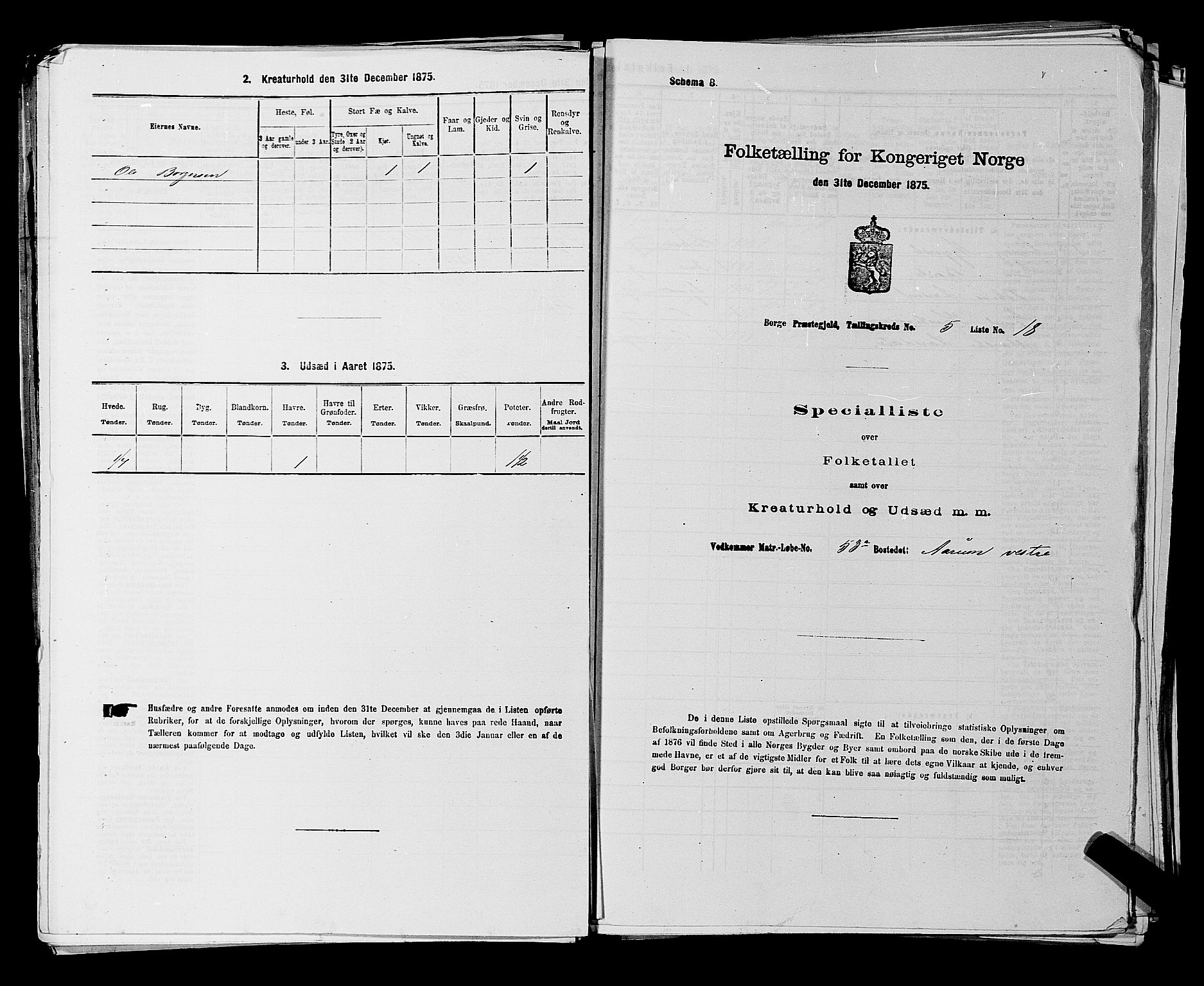 RA, 1875 census for 0113P Borge, 1875, p. 811