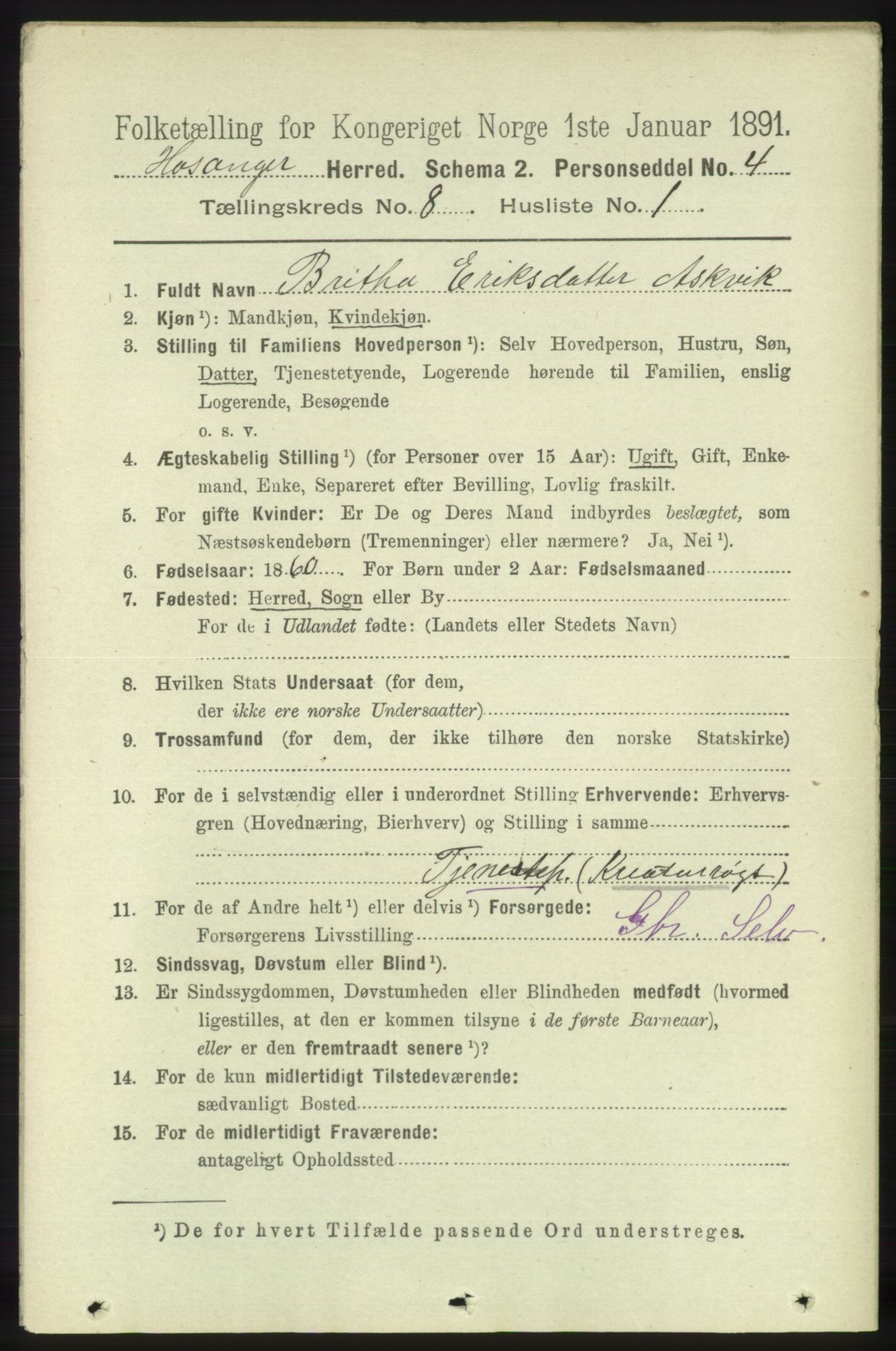 RA, 1891 census for 1253 Hosanger, 1891, p. 2955