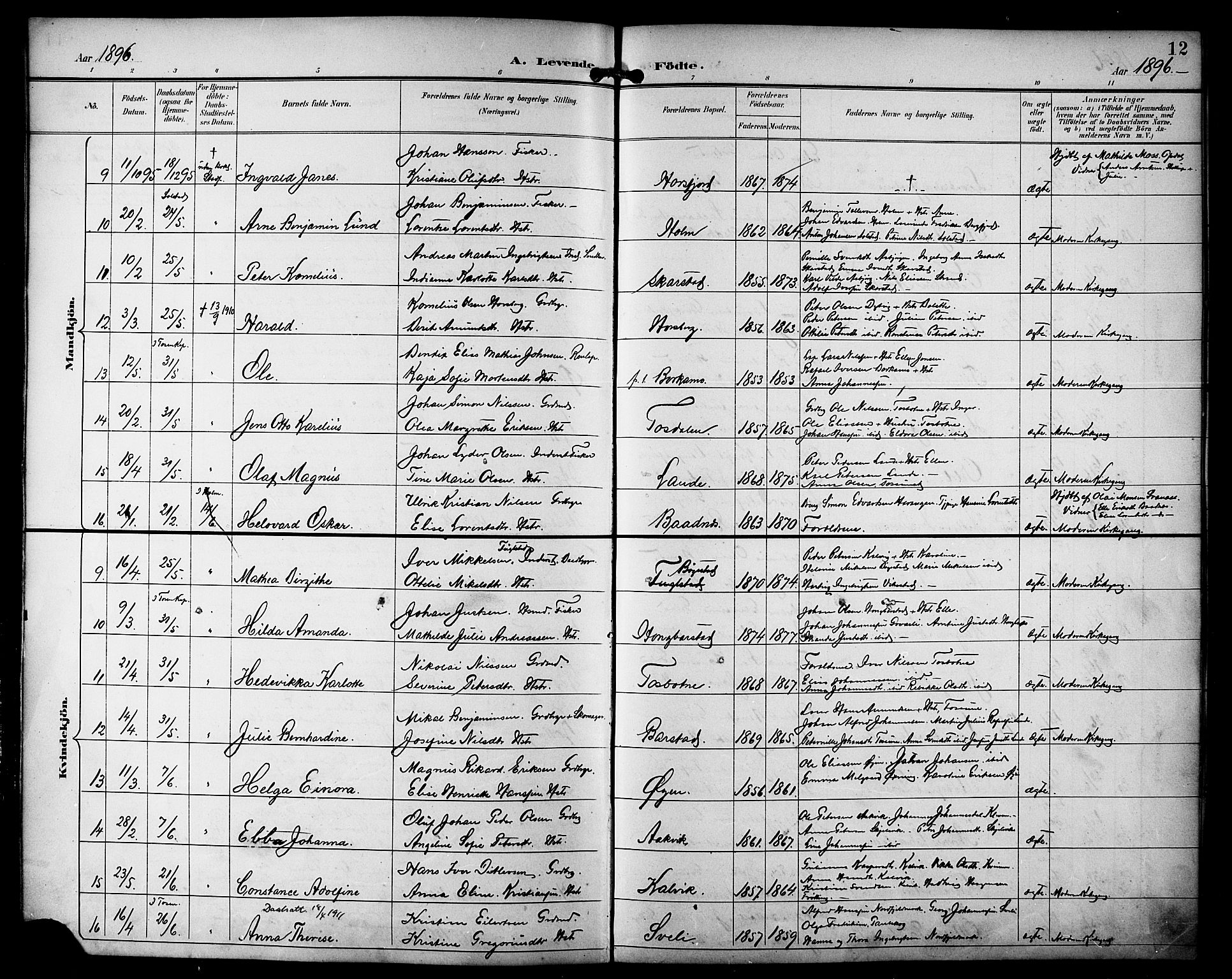 Ministerialprotokoller, klokkerbøker og fødselsregistre - Nordland, AV/SAT-A-1459/810/L0152: Parish register (official) no. 810A11, 1895-1899, p. 12