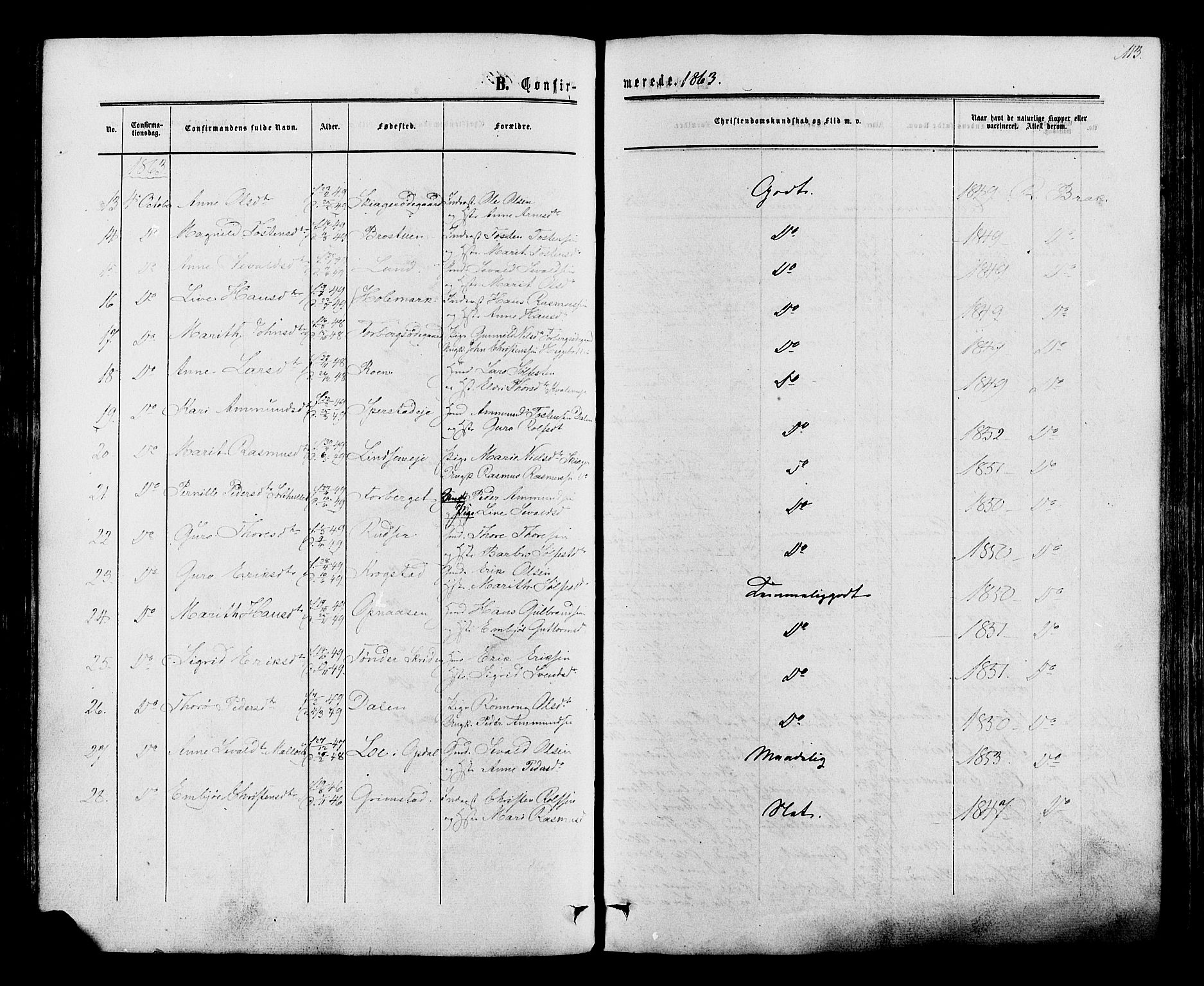 Lom prestekontor, AV/SAH-PREST-070/K/L0007: Parish register (official) no. 7, 1863-1884, p. 113