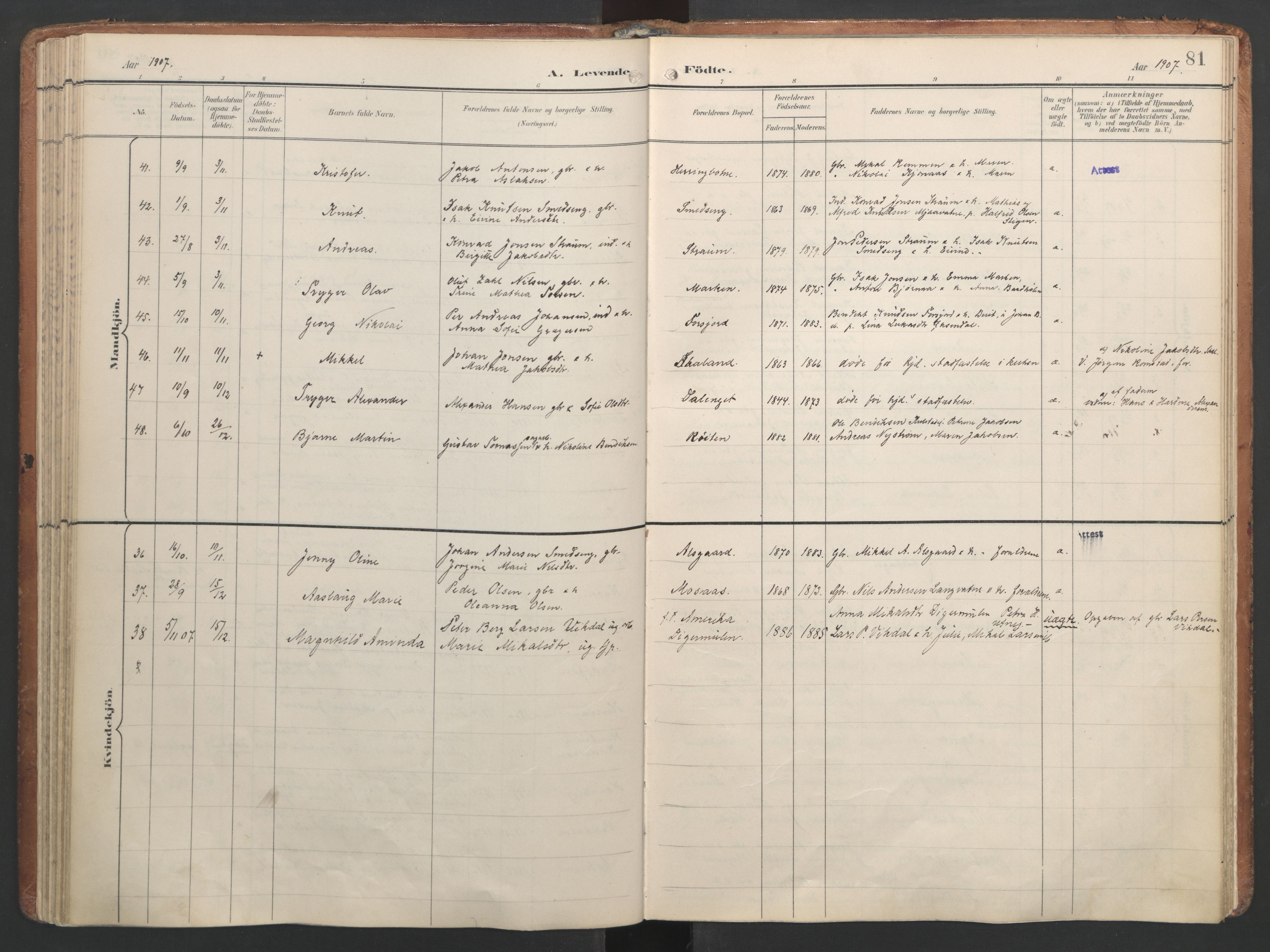 Ministerialprotokoller, klokkerbøker og fødselsregistre - Nordland, AV/SAT-A-1459/820/L0297: Parish register (official) no. 820A18, 1897-1917, p. 81