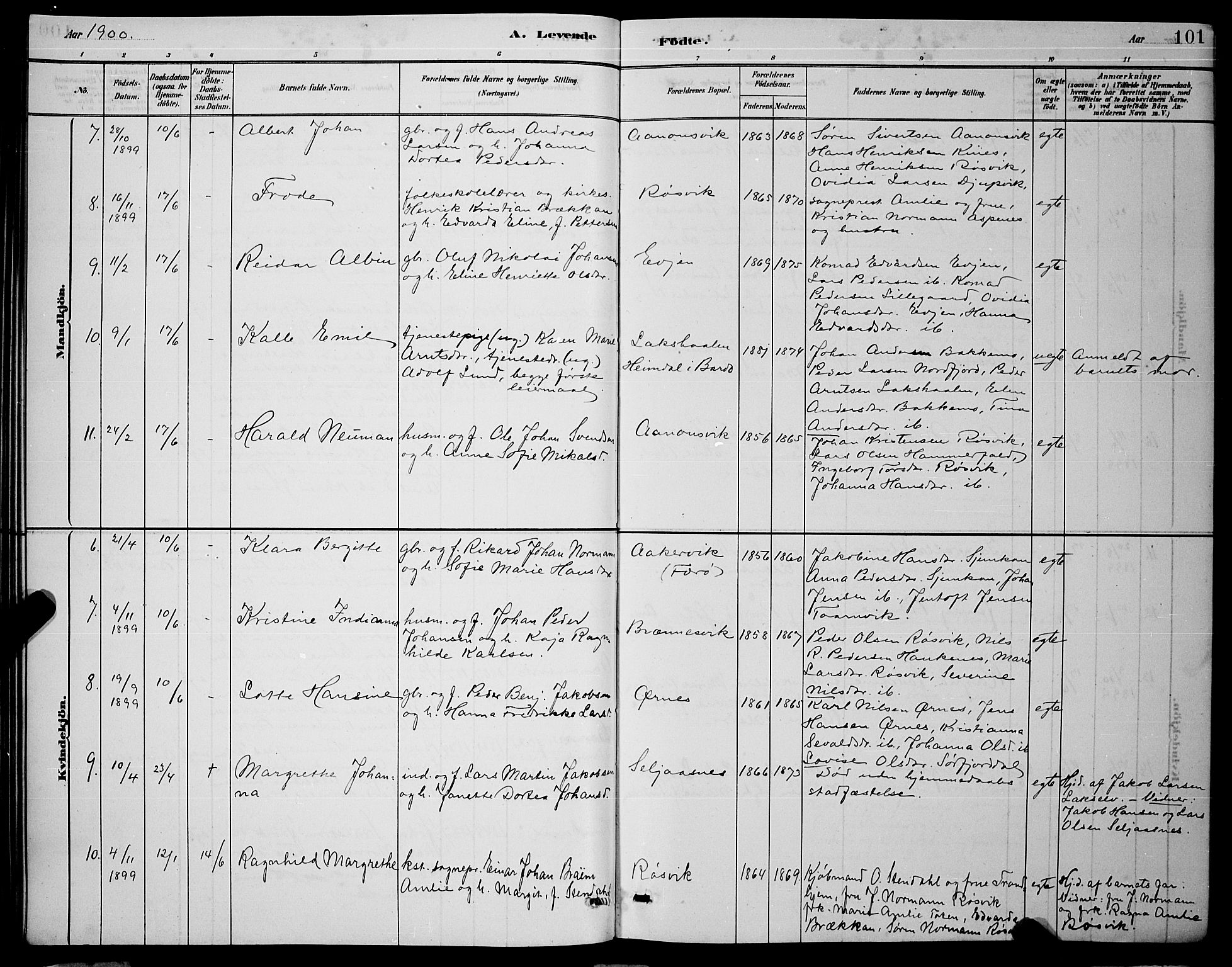 Ministerialprotokoller, klokkerbøker og fødselsregistre - Nordland, AV/SAT-A-1459/853/L0772: Parish register (official) no. 853A11, 1881-1900, p. 101