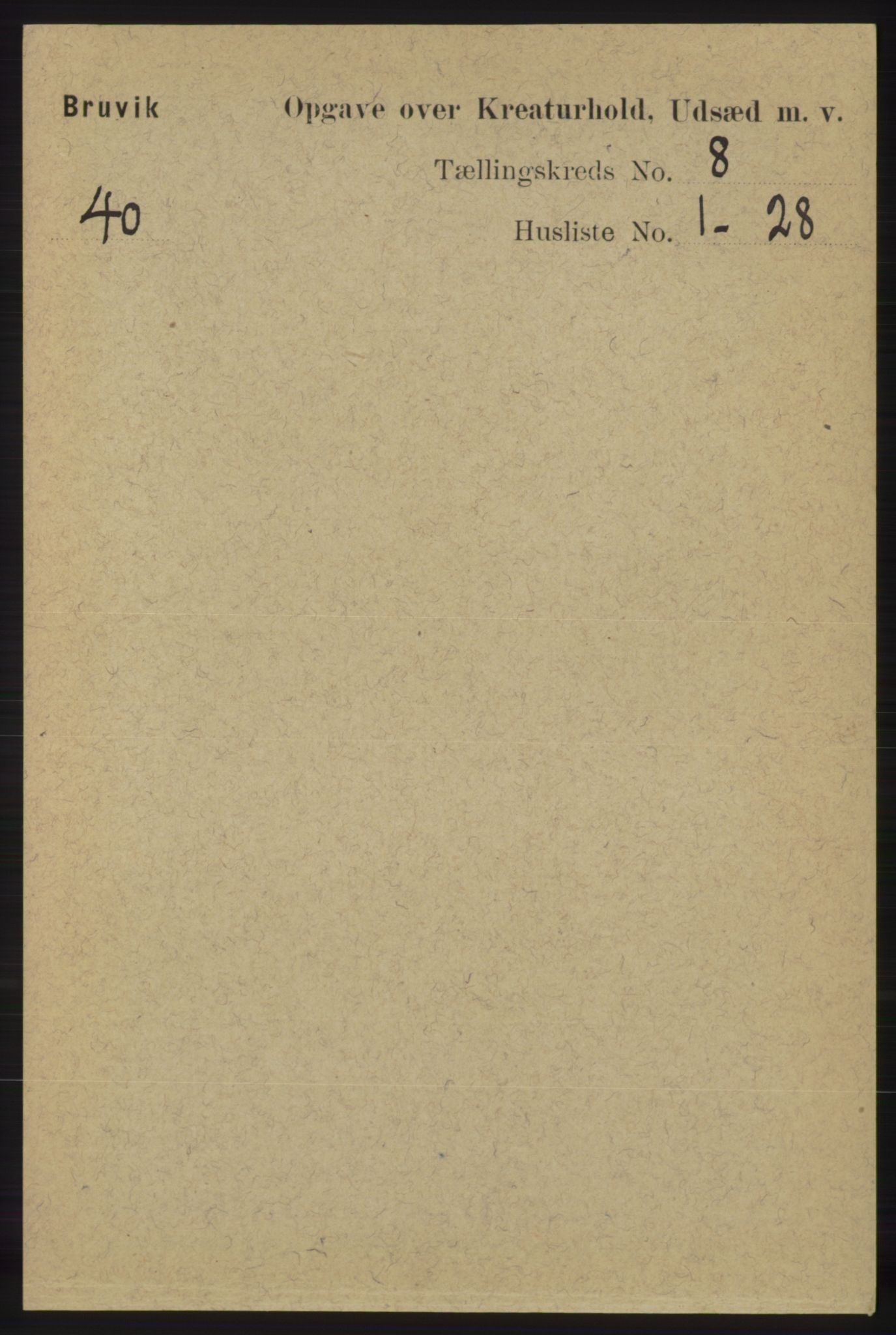 RA, 1891 census for 1251 Bruvik, 1891, p. 4729