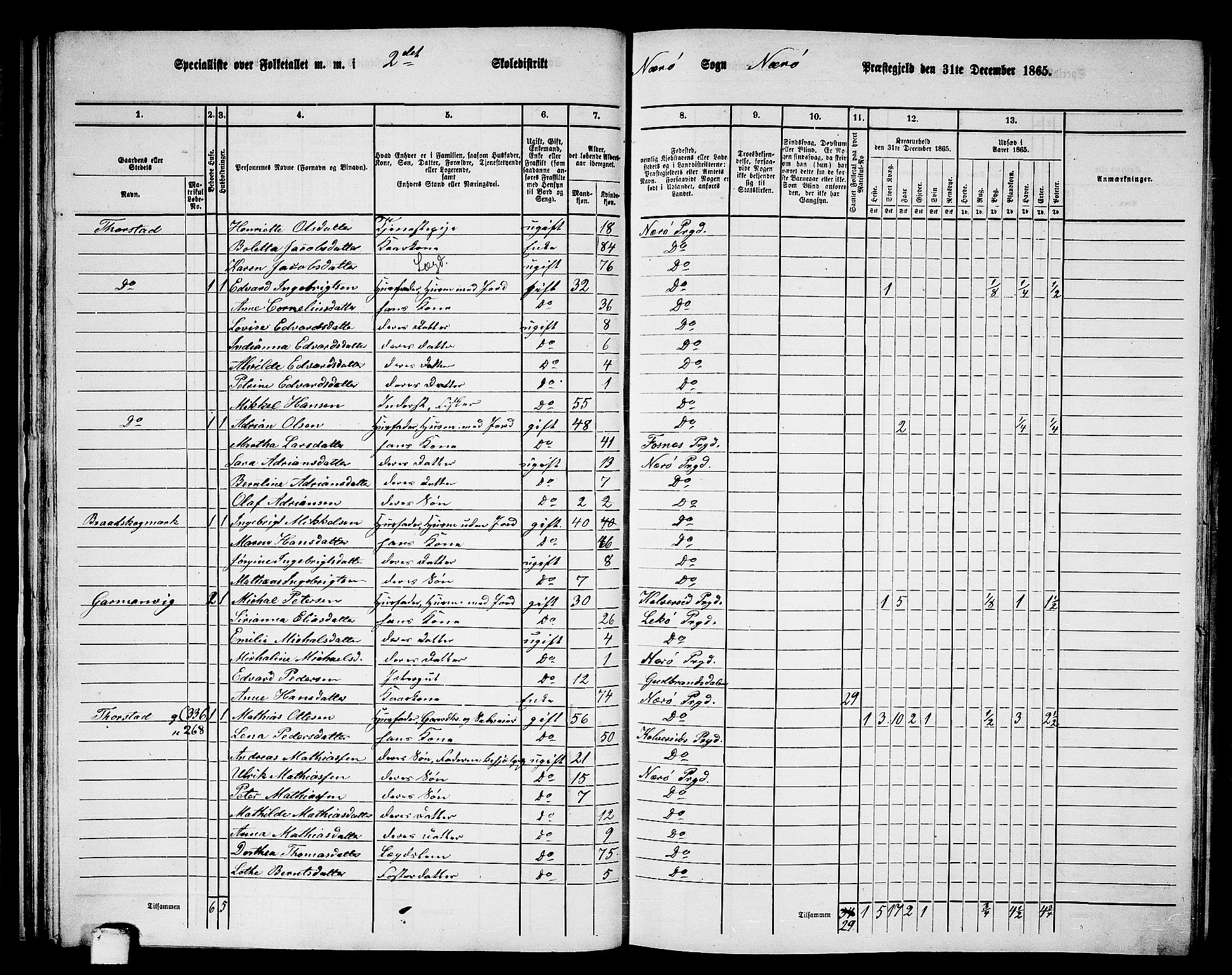 RA, 1865 census for Nærøy, 1865, p. 37