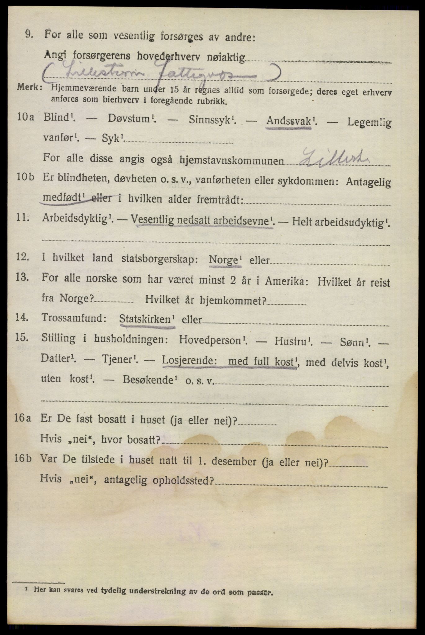 SAO, 1920 census for Lillestrøm, 1920, p. 11311