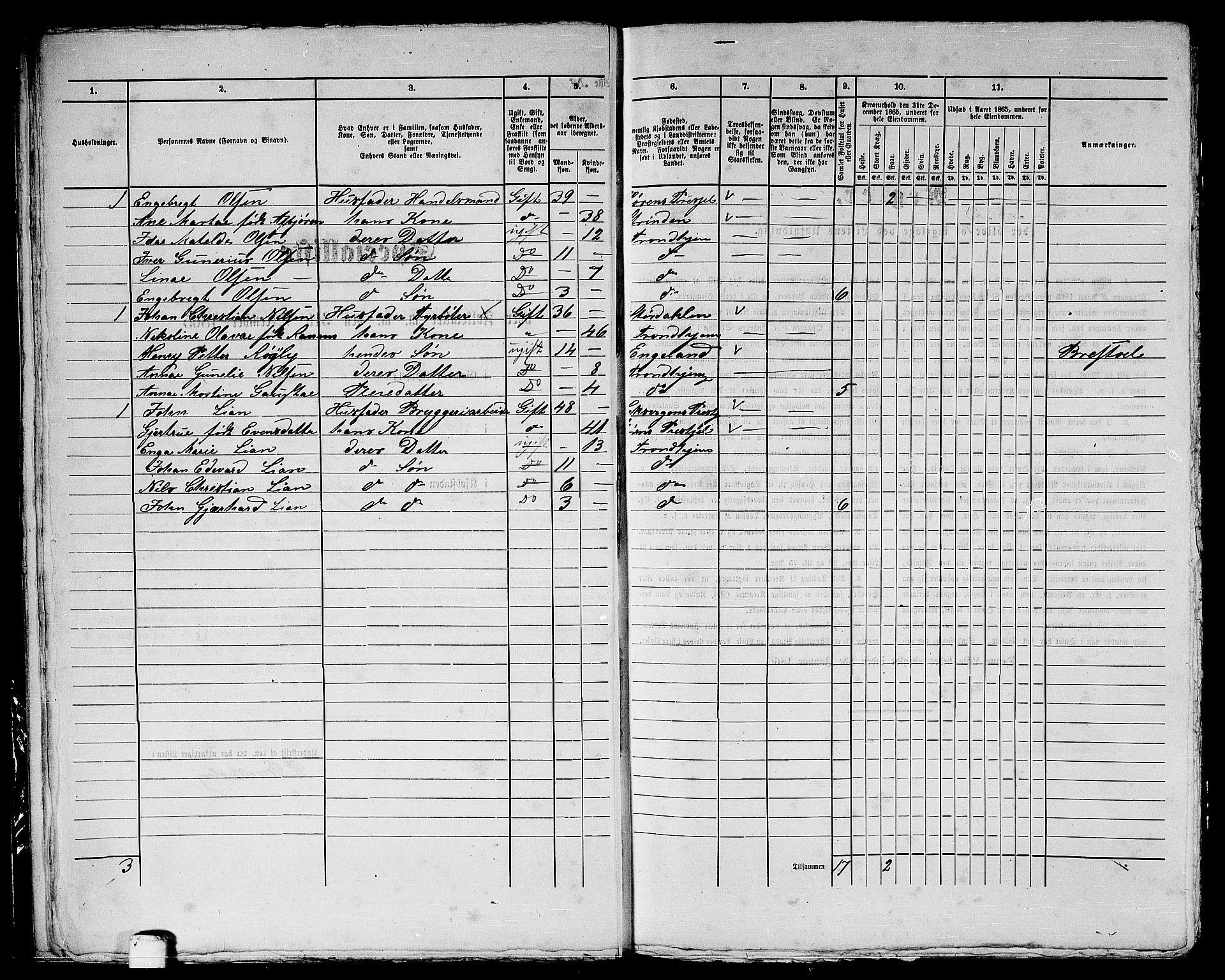 RA, 1865 census for Trondheim, 1865, p. 2102