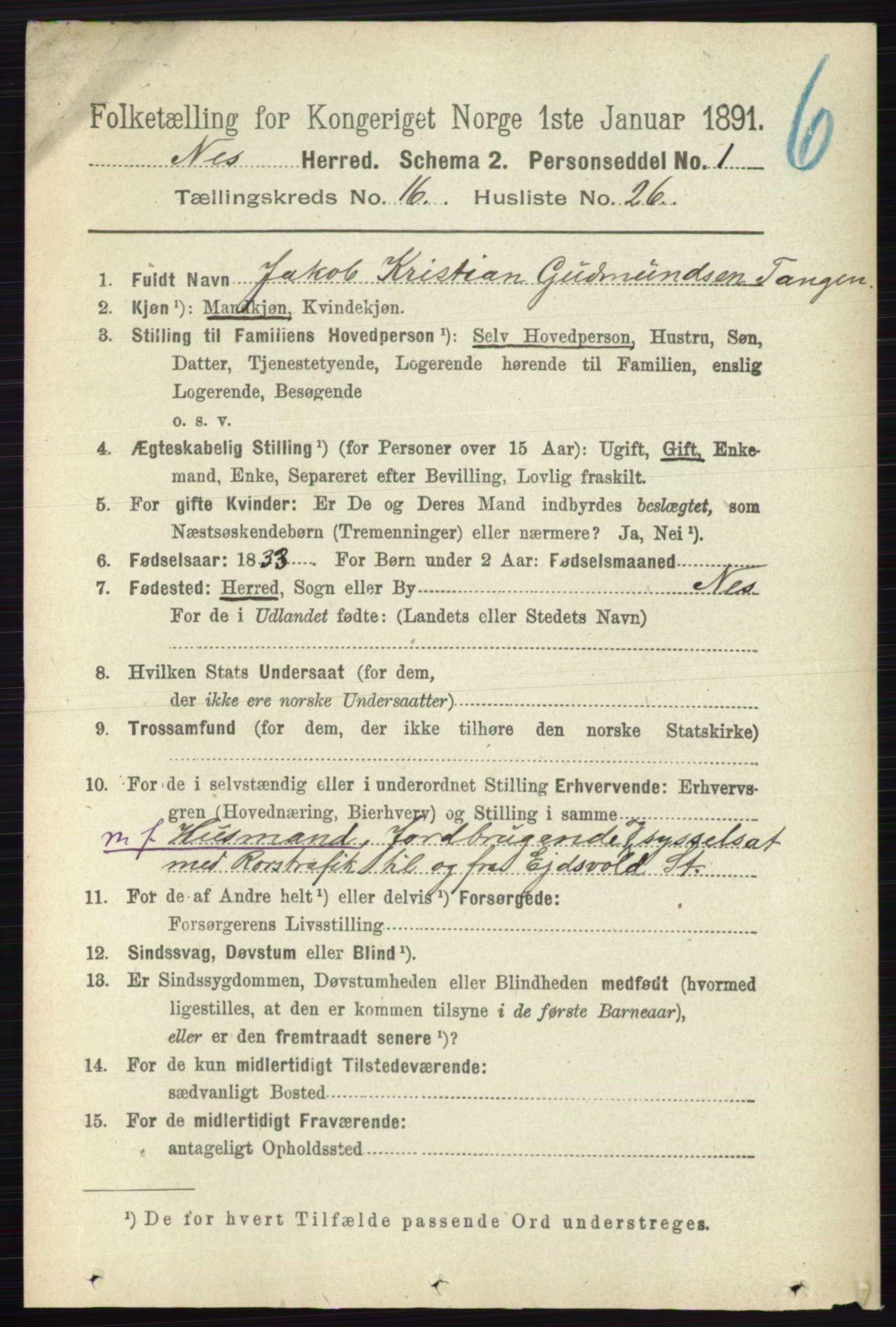 RA, 1891 census for 0236 Nes, 1891, p. 9704