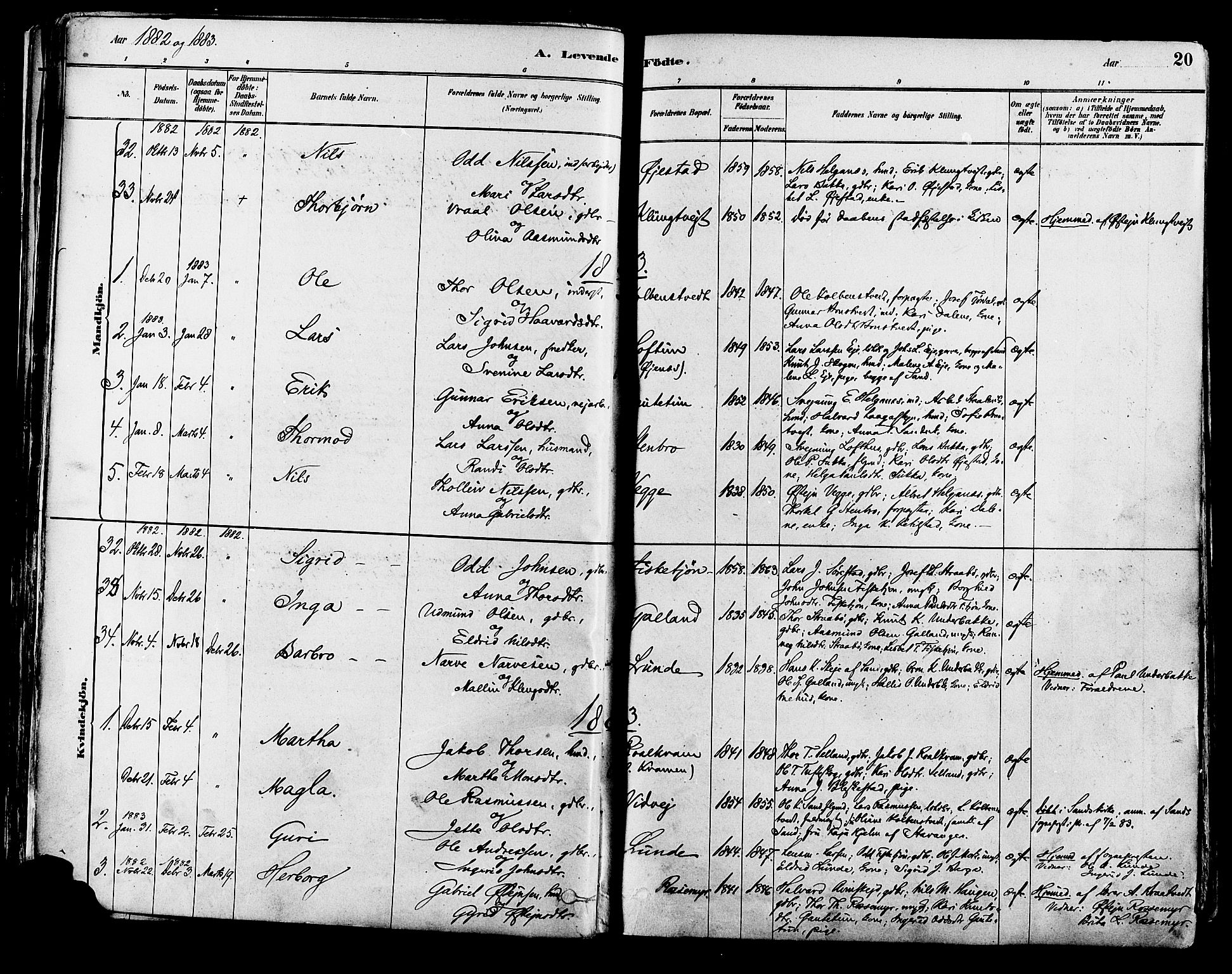 Suldal sokneprestkontor, AV/SAST-A-101845/01/IV/L0011: Parish register (official) no. A 11, 1878-1900, p. 20