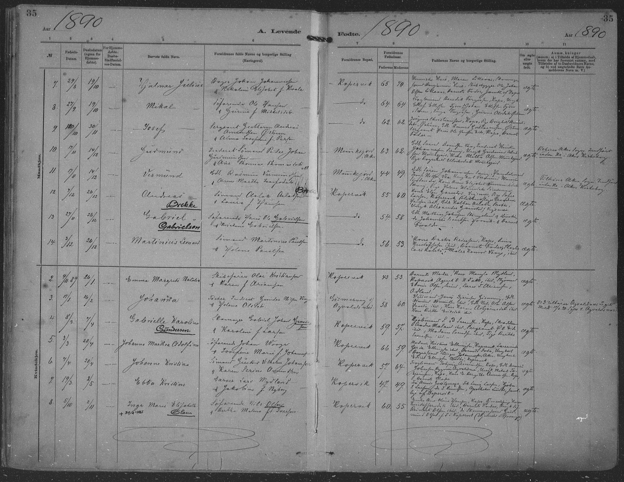 Kopervik sokneprestkontor, AV/SAST-A-101850/H/Ha/Haa/L0001: Parish register (official) no. A 1, 1880-1919, p. 35