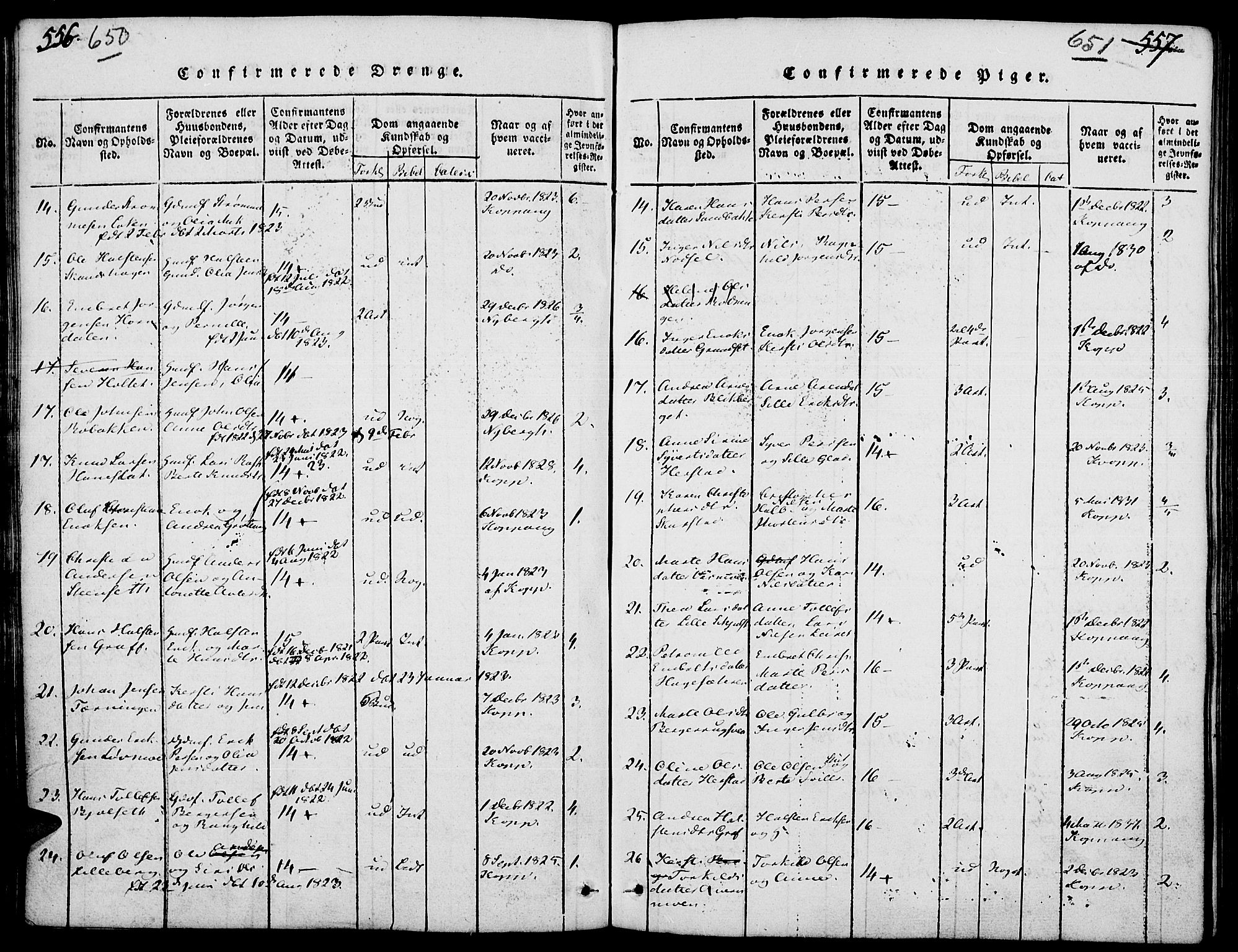 Elverum prestekontor, SAH/PREST-044/H/Ha/Hab/L0001: Parish register (copy) no. 1, 1815-1829, p. 650-651