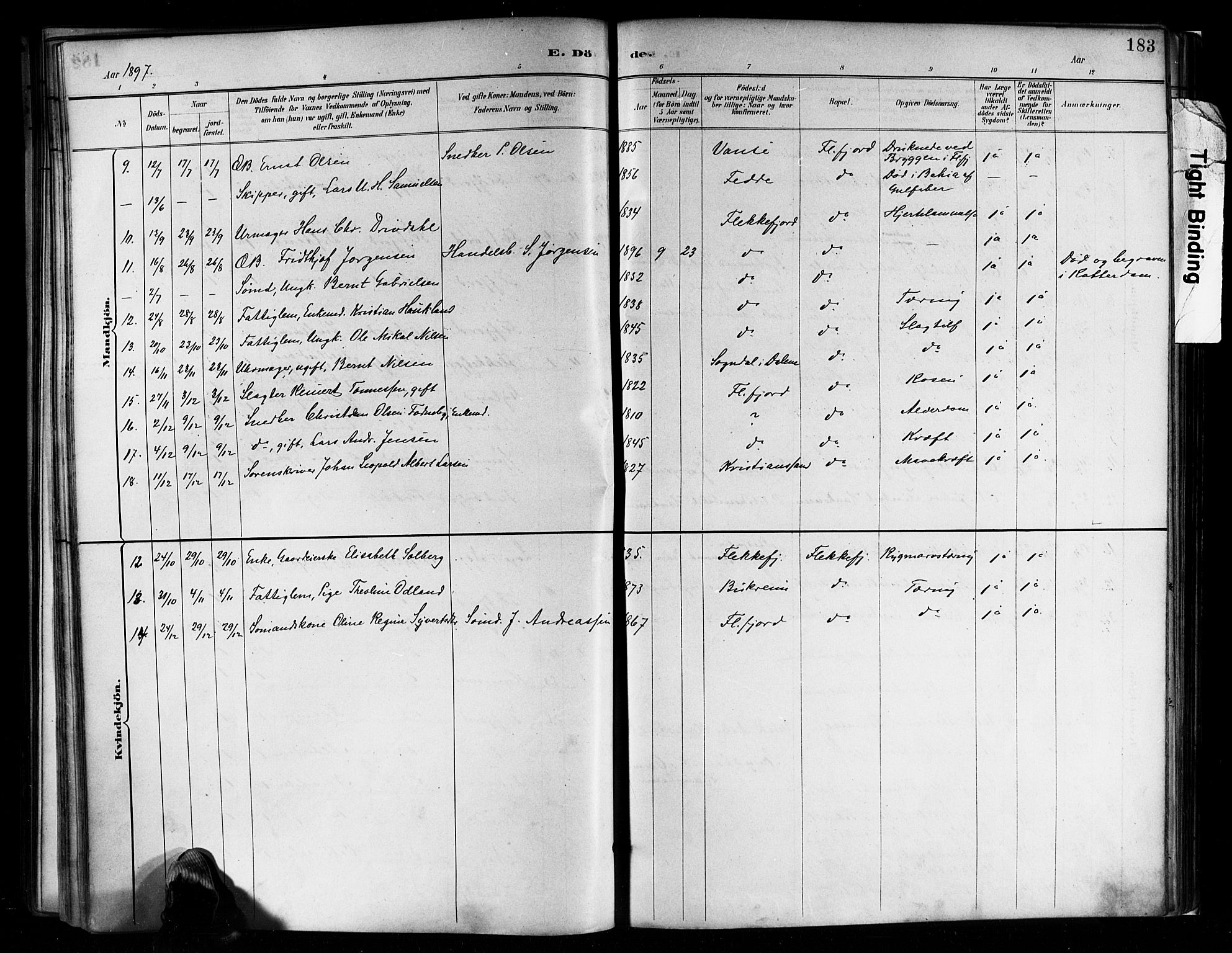 Flekkefjord sokneprestkontor, AV/SAK-1111-0012/F/Fa/Faa/L0001: Parish register (official) no. A 1, 1885-1900, p. 183