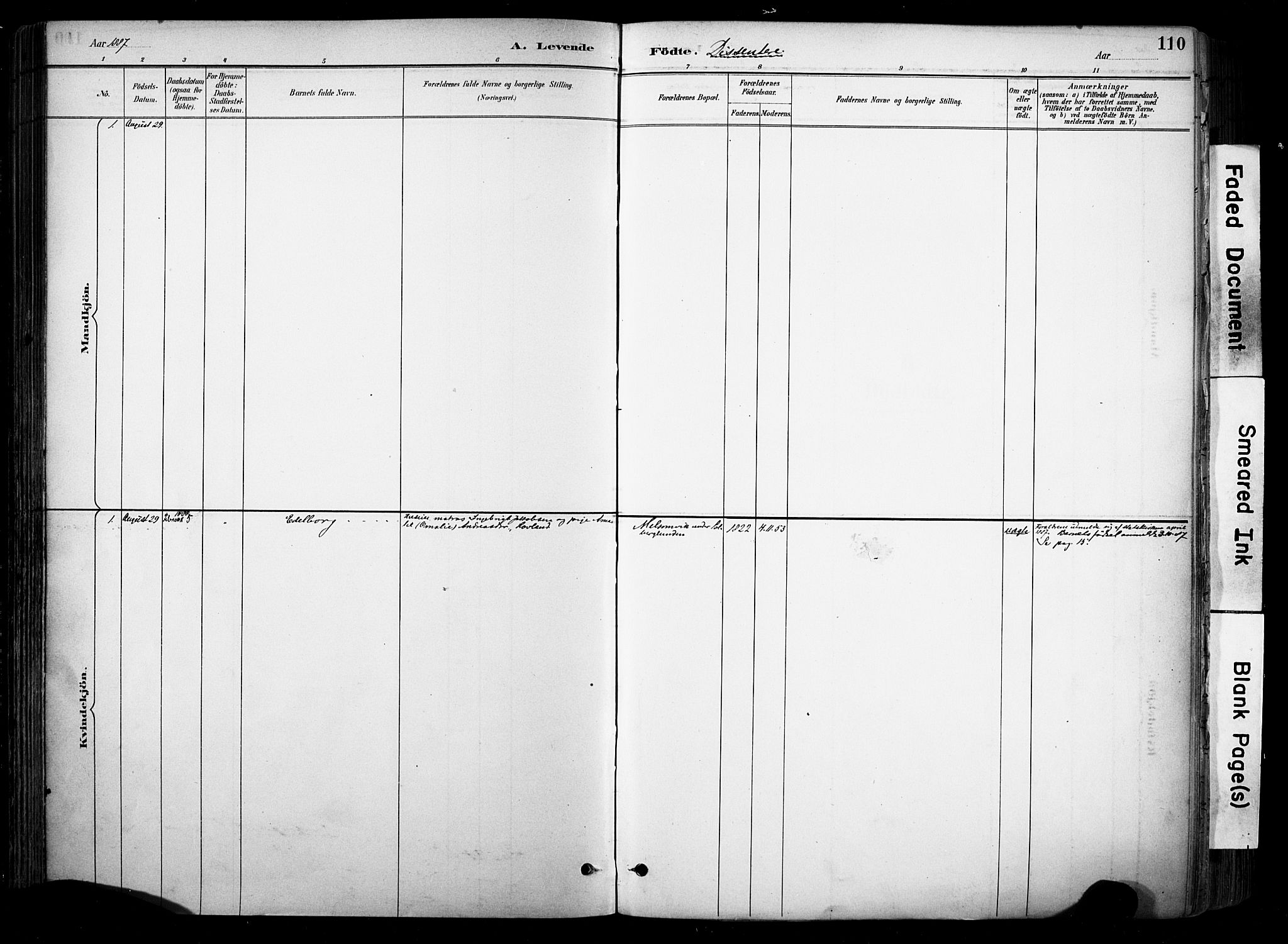 Stokke kirkebøker, AV/SAKO-A-320/F/Fa/L0010: Parish register (official) no. I 10, 1884-1903, p. 110