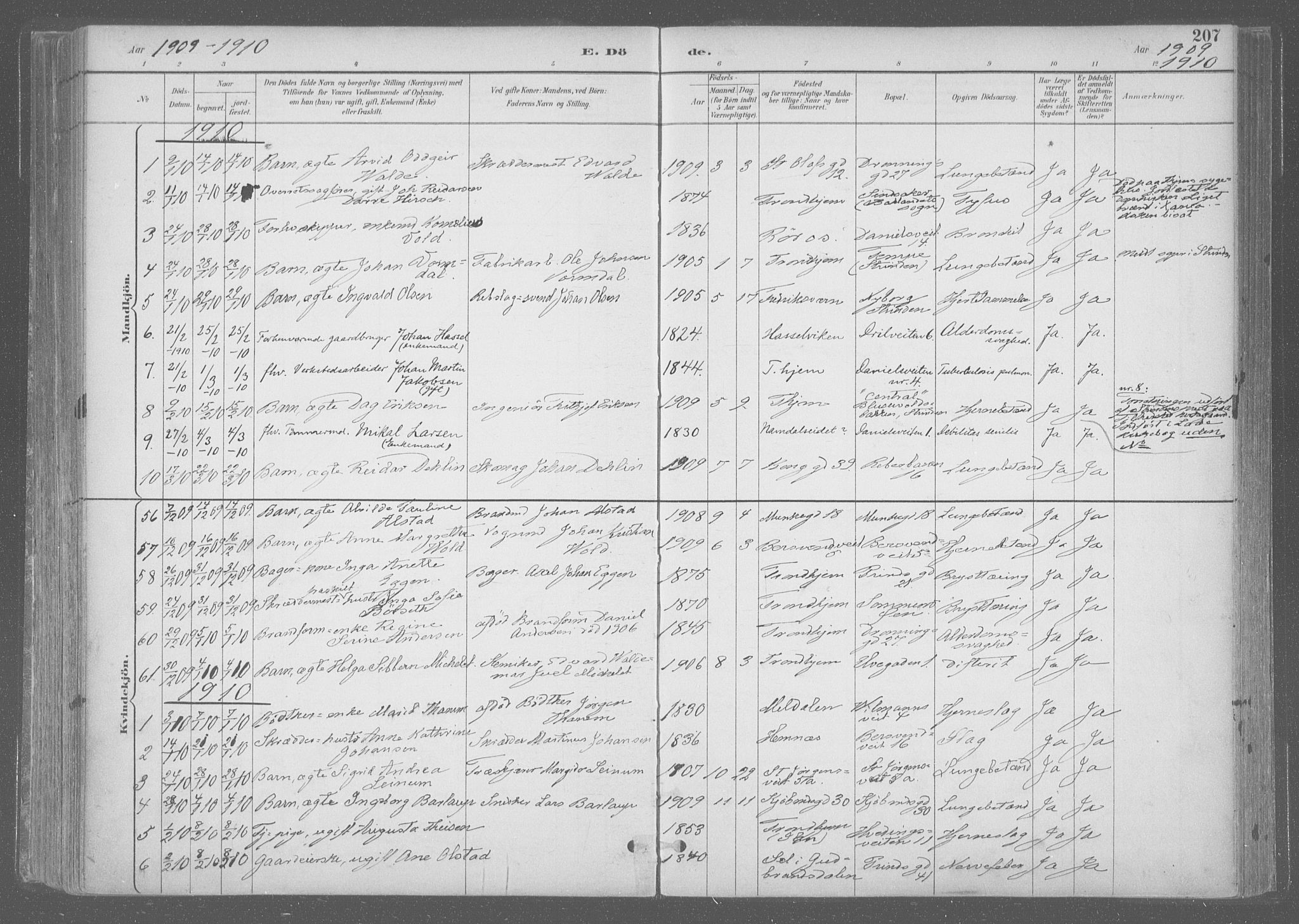 Ministerialprotokoller, klokkerbøker og fødselsregistre - Sør-Trøndelag, SAT/A-1456/601/L0064: Parish register (official) no. 601A31, 1891-1911, p. 207