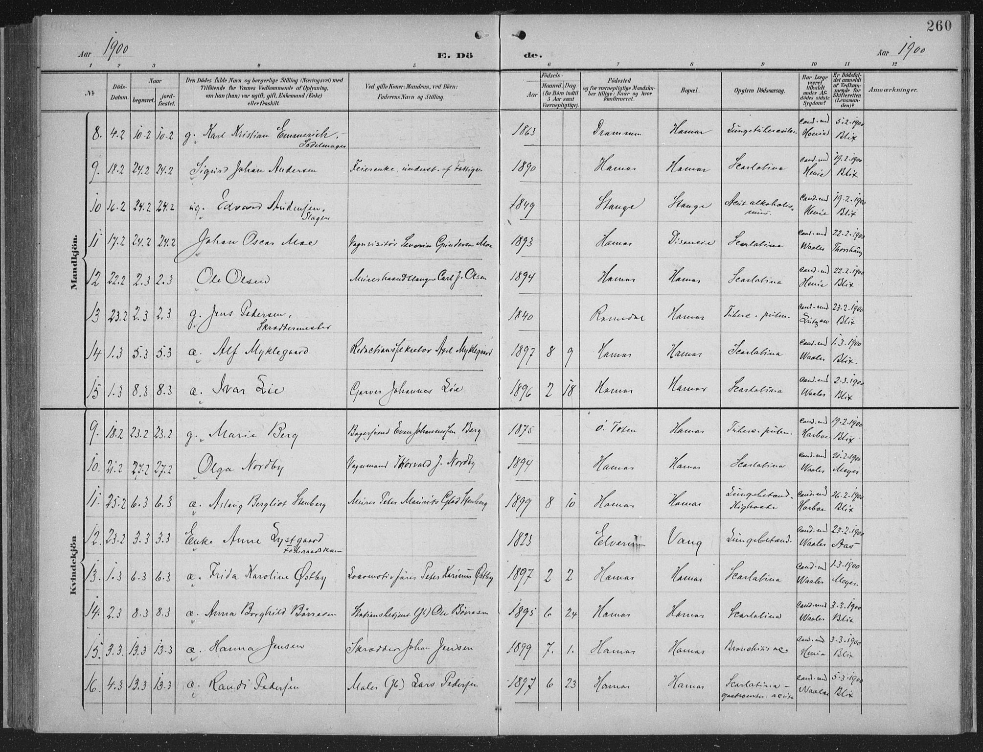 Hamar prestekontor, AV/SAH-DOMPH-002/H/Ha/Haa/L0001: Parish register (official) no. 1, 1900-1914, p. 260