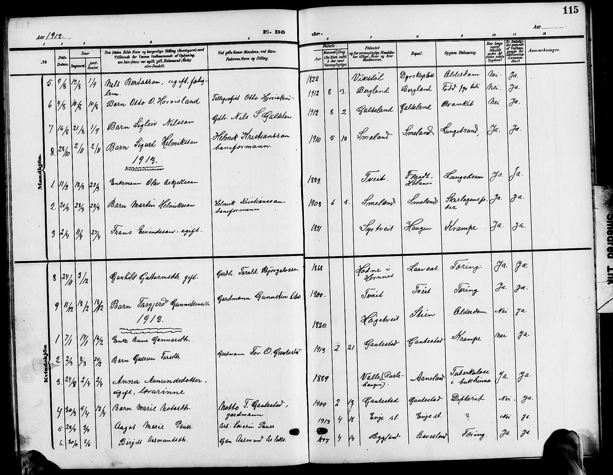 Evje sokneprestkontor, AV/SAK-1111-0008/F/Fb/Fba/L0004: Parish register (copy) no. B 4, 1899-1914, p. 115