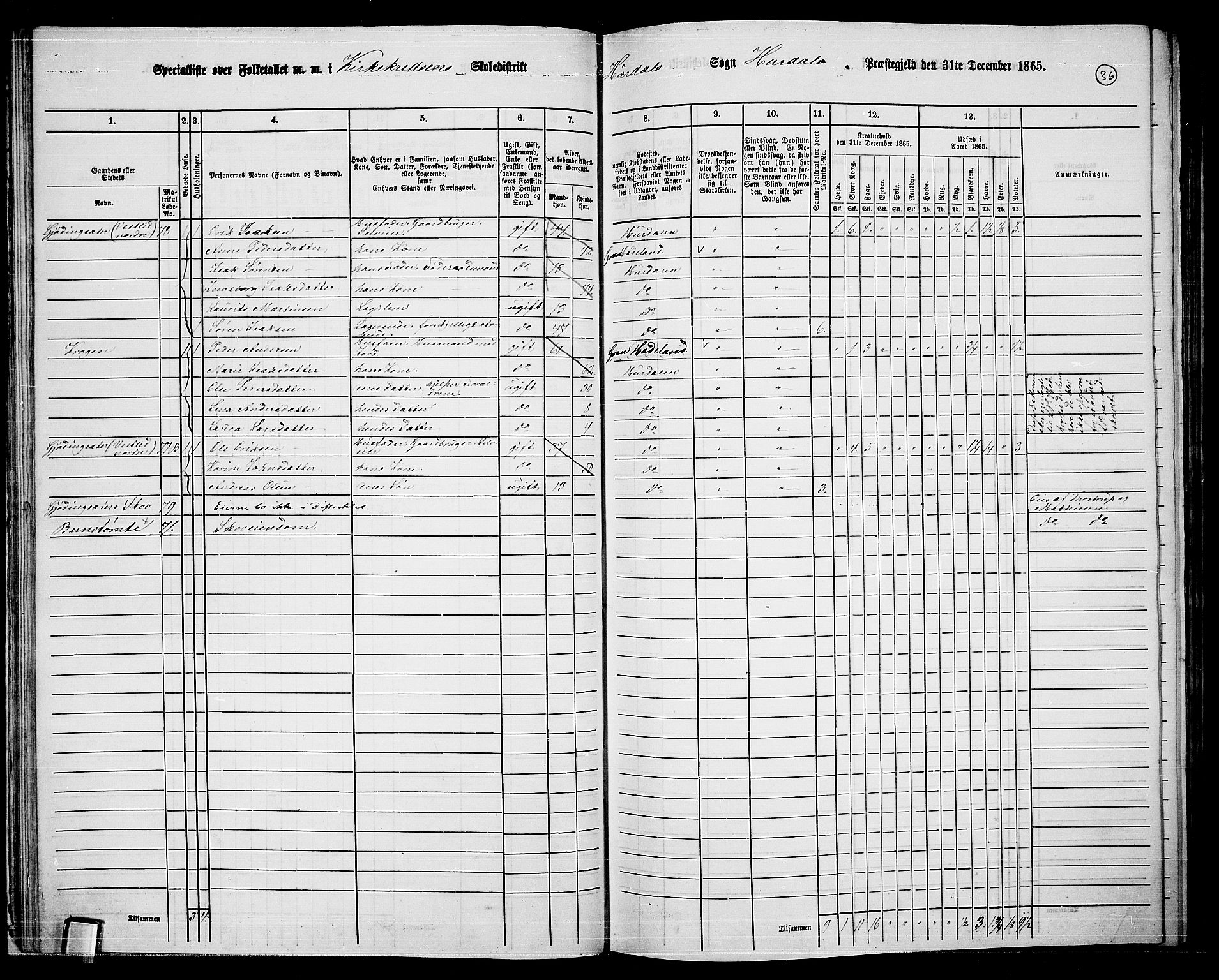 RA, 1865 census for Hurdal, 1865, p. 33