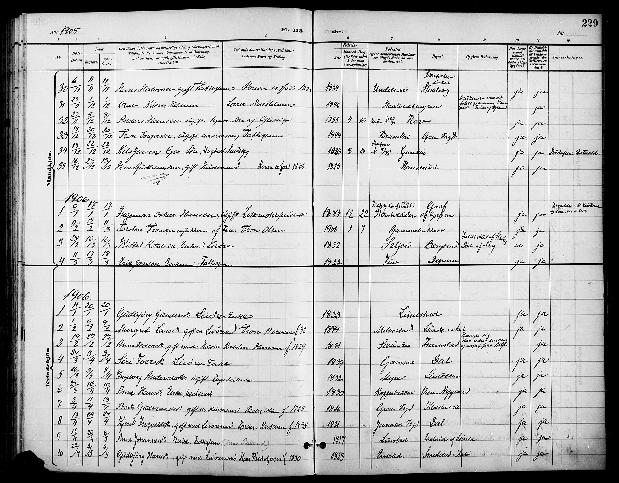 Gran prestekontor, SAH/PREST-112/H/Ha/Haa/L0019: Parish register (official) no. 19, 1898-1907, p. 229