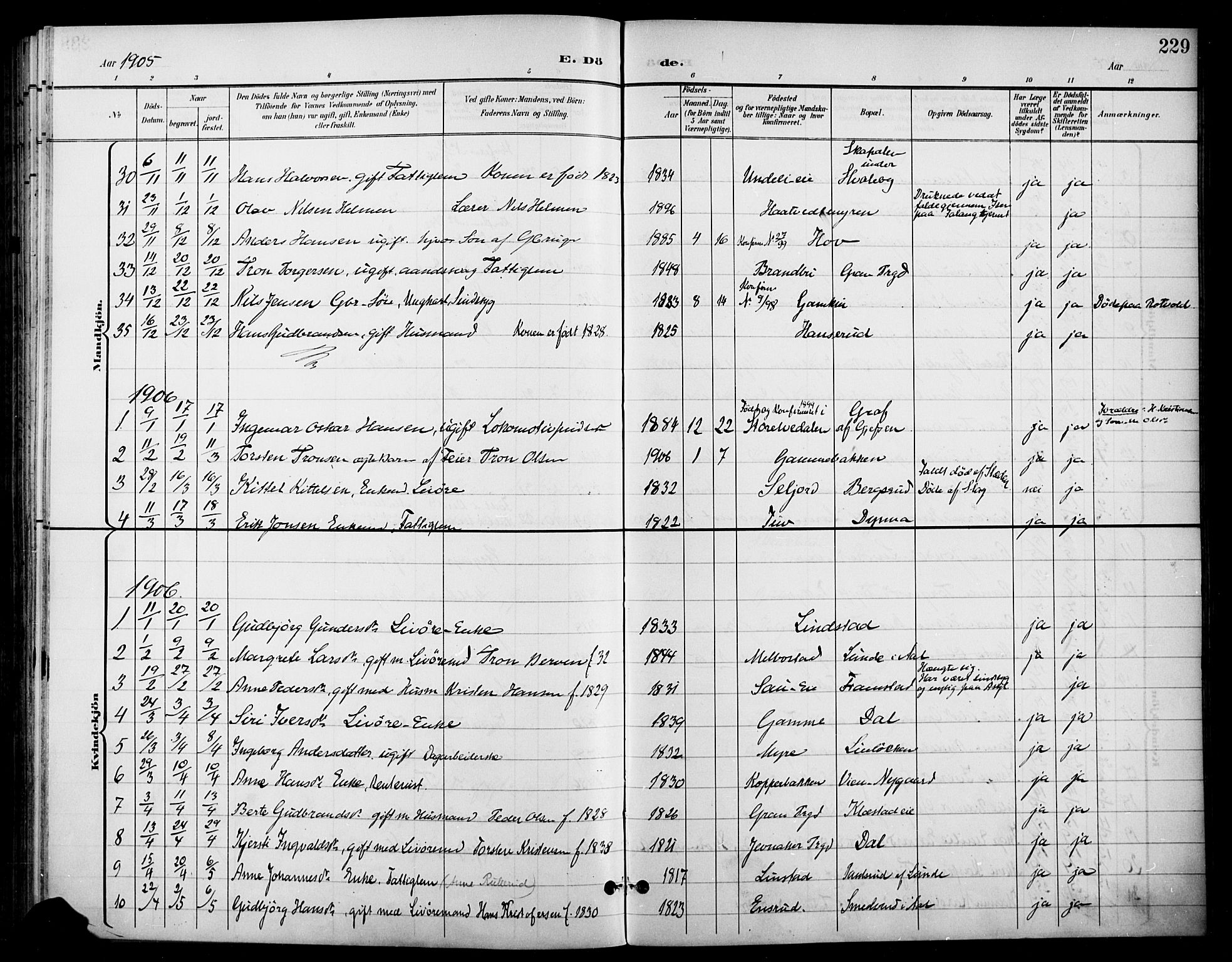 Gran prestekontor, AV/SAH-PREST-112/H/Ha/Haa/L0019: Parish register (official) no. 19, 1898-1907, p. 229
