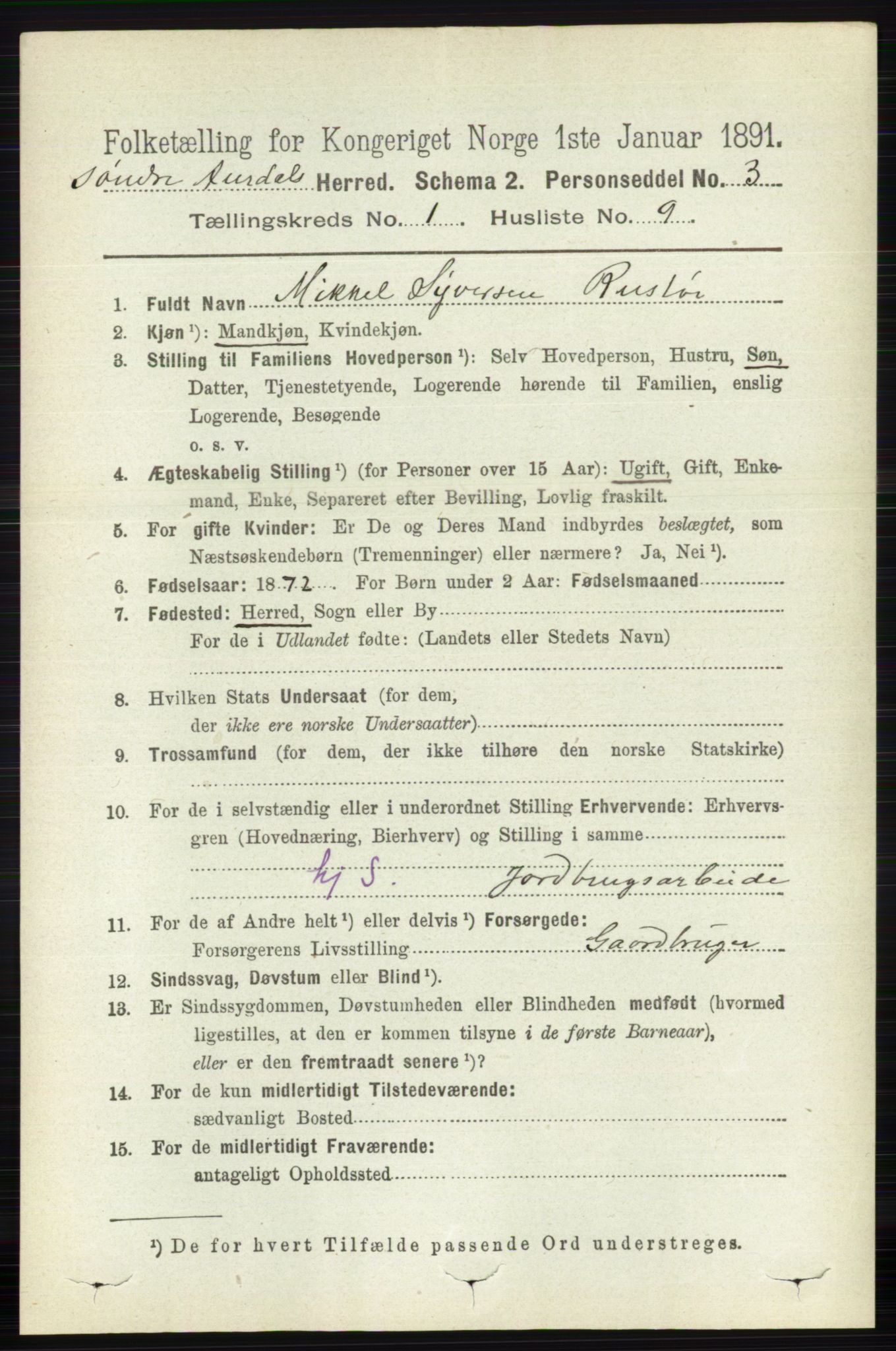 RA, 1891 census for 0540 Sør-Aurdal, 1891, p. 195