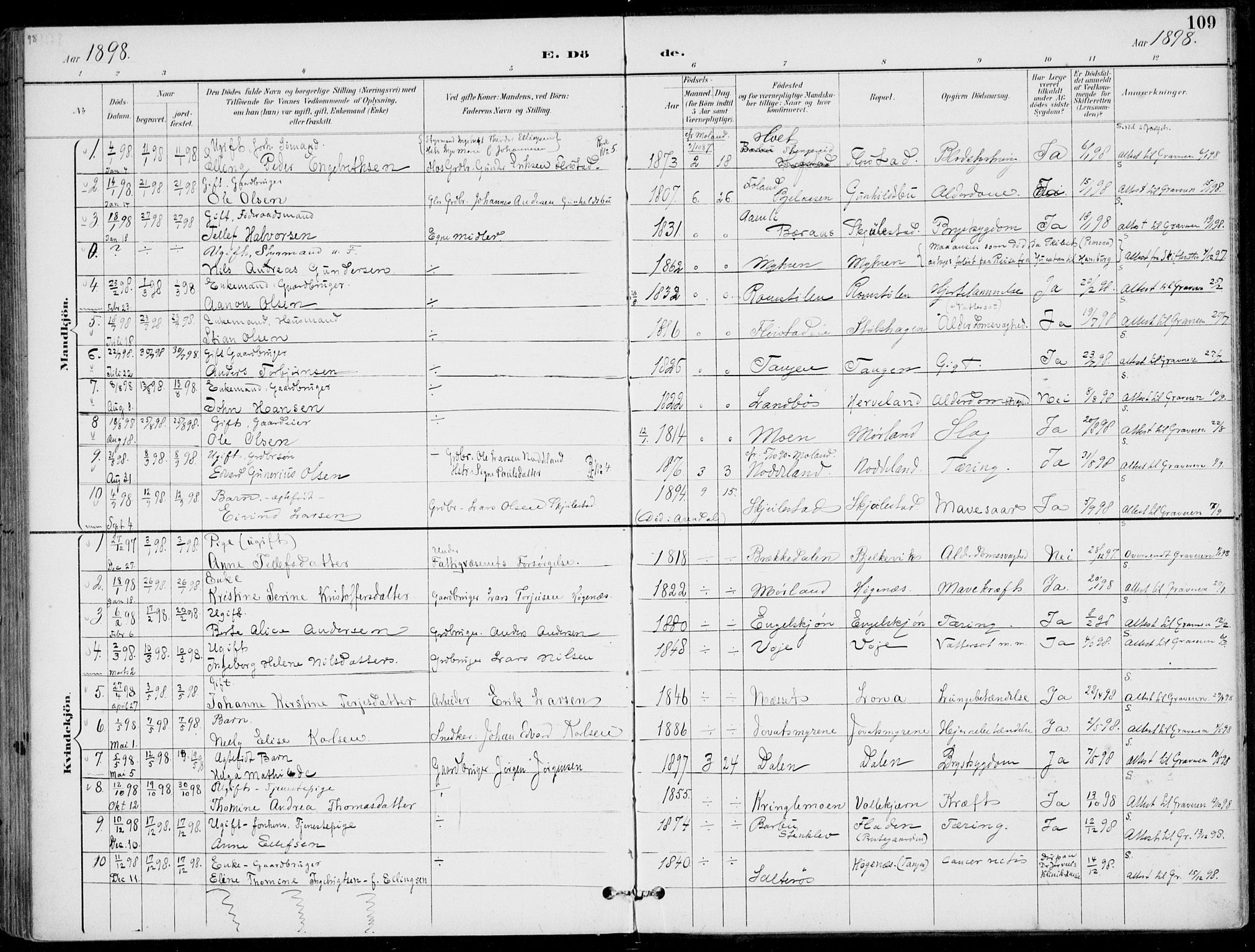 Austre Moland sokneprestkontor, AV/SAK-1111-0001/F/Fa/Faa/L0011: Parish register (official) no. A 11, 1894-1915, p. 109