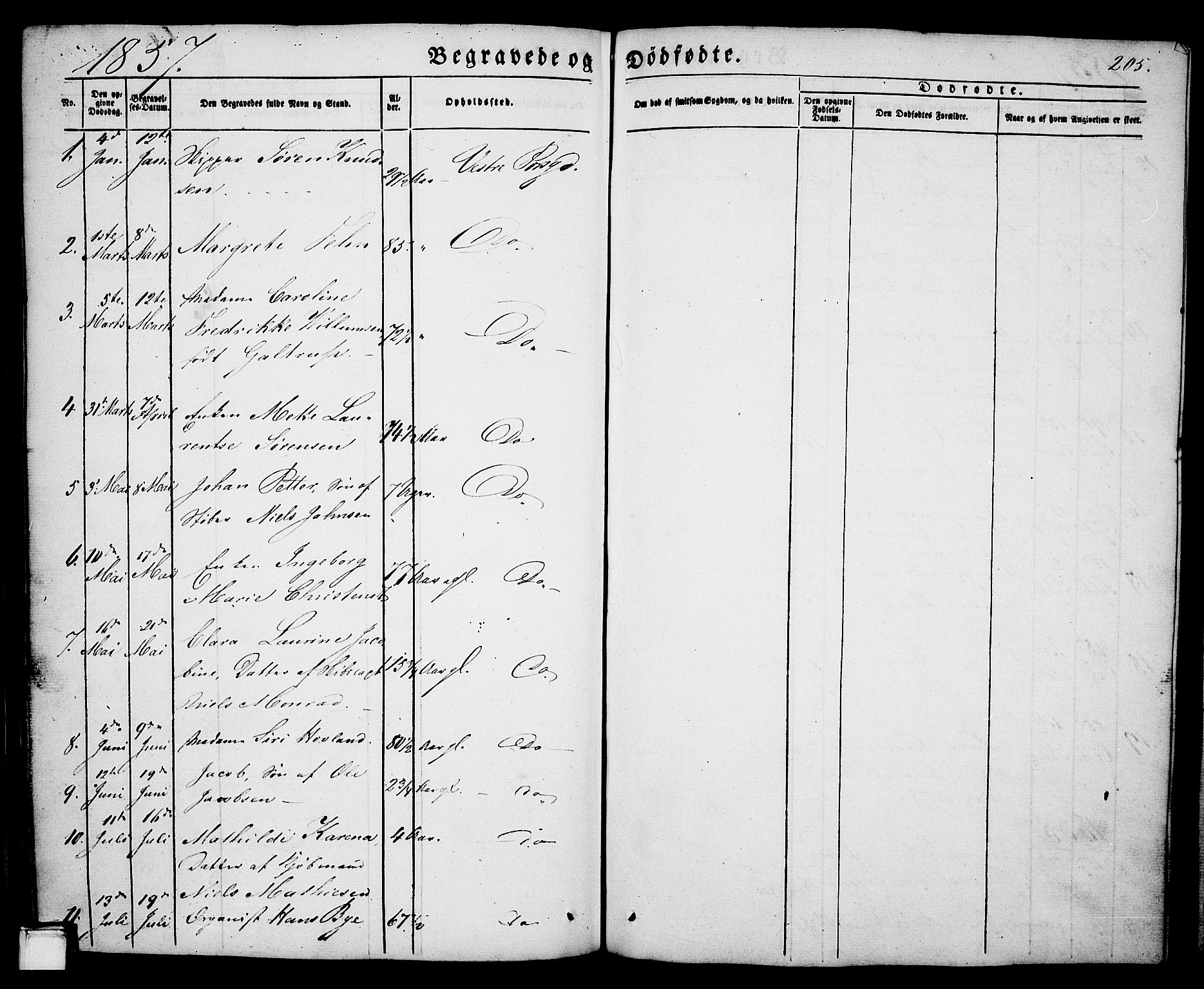 Porsgrunn kirkebøker , SAKO/A-104/G/Ga/L0002: Parish register (copy) no. I 2, 1847-1877, p. 205
