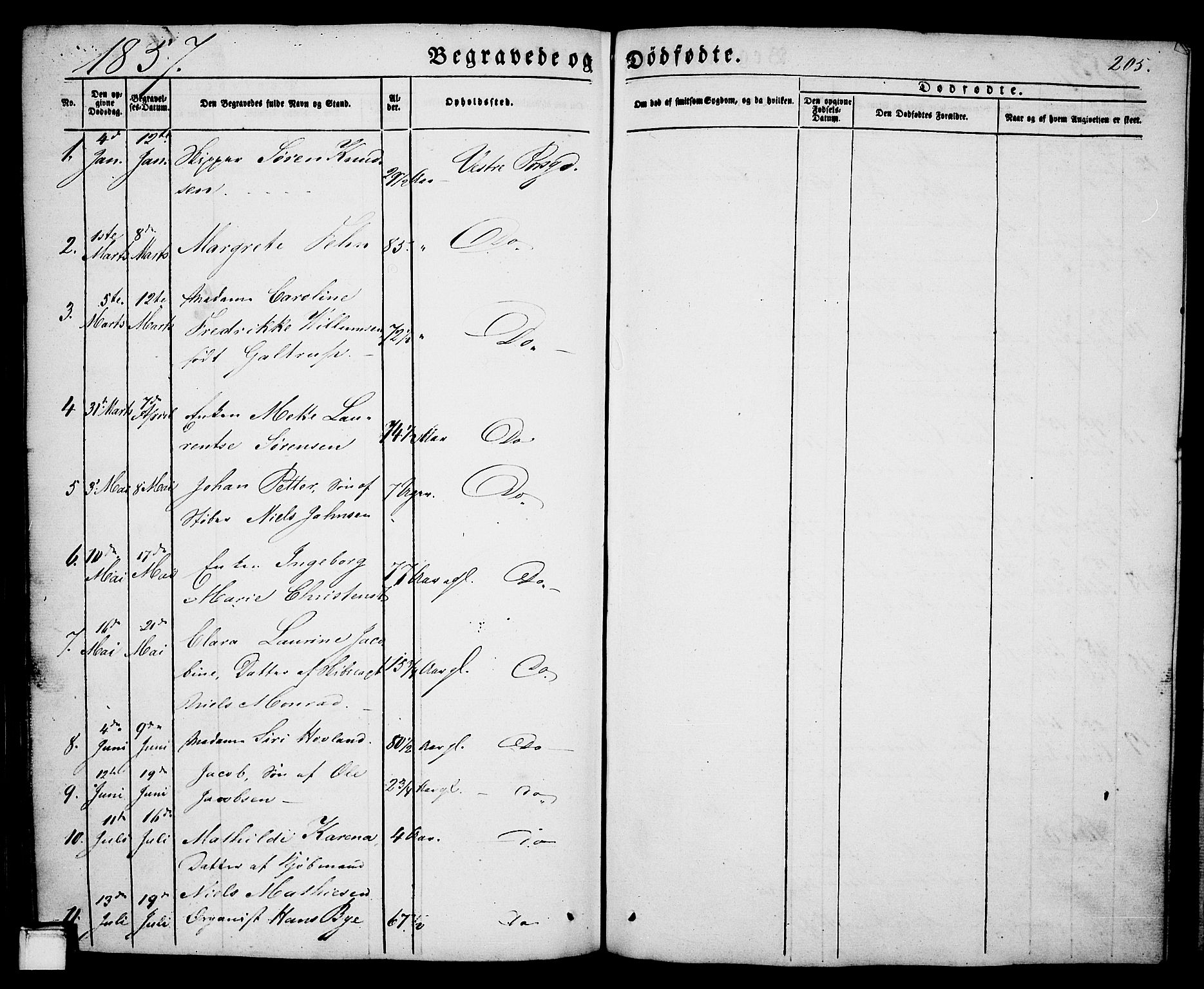 Porsgrunn kirkebøker , AV/SAKO-A-104/G/Ga/L0002: Parish register (copy) no. I 2, 1847-1877, p. 205