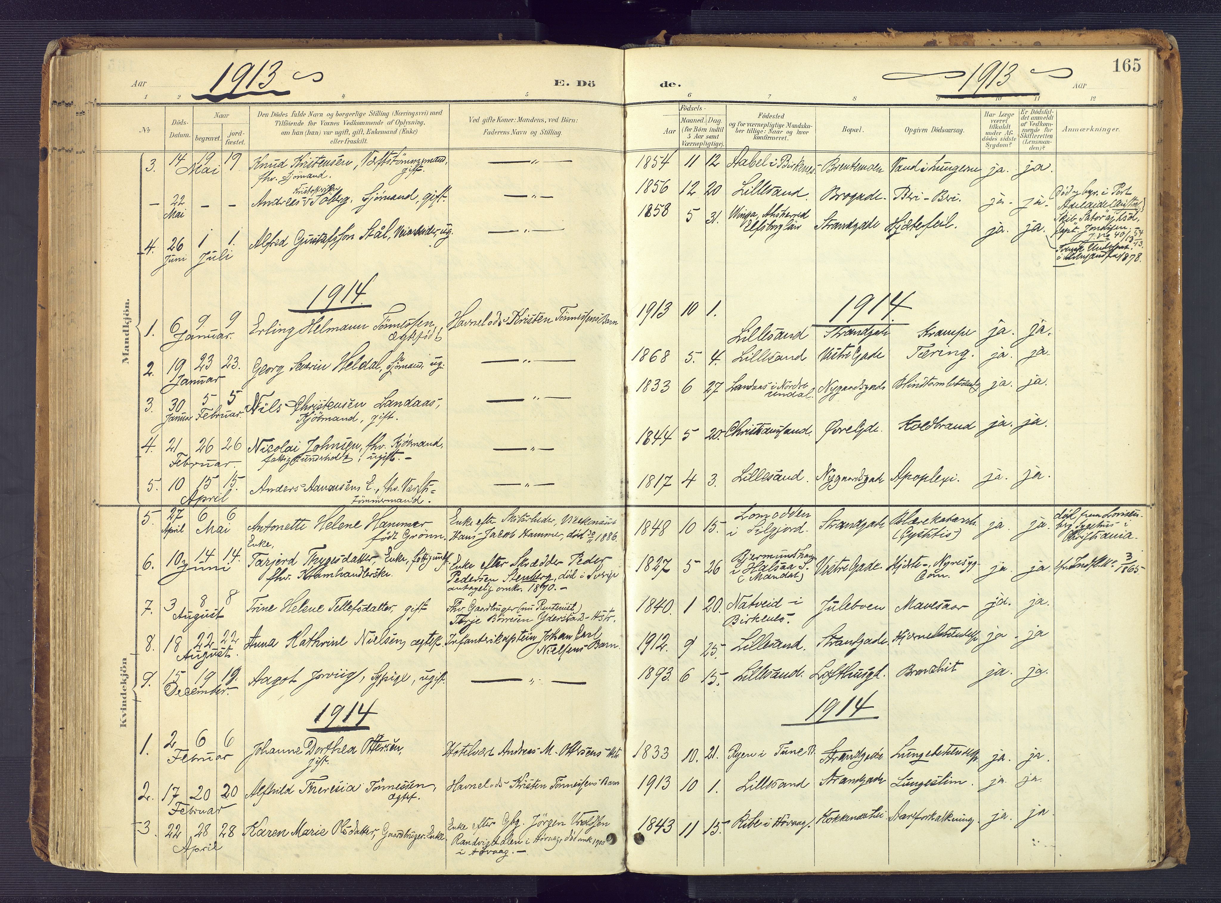 Vestre Moland sokneprestkontor, AV/SAK-1111-0046/F/Fa/Faa/L0002: Parish register (official) no. A 2, 1900-1926, p. 165