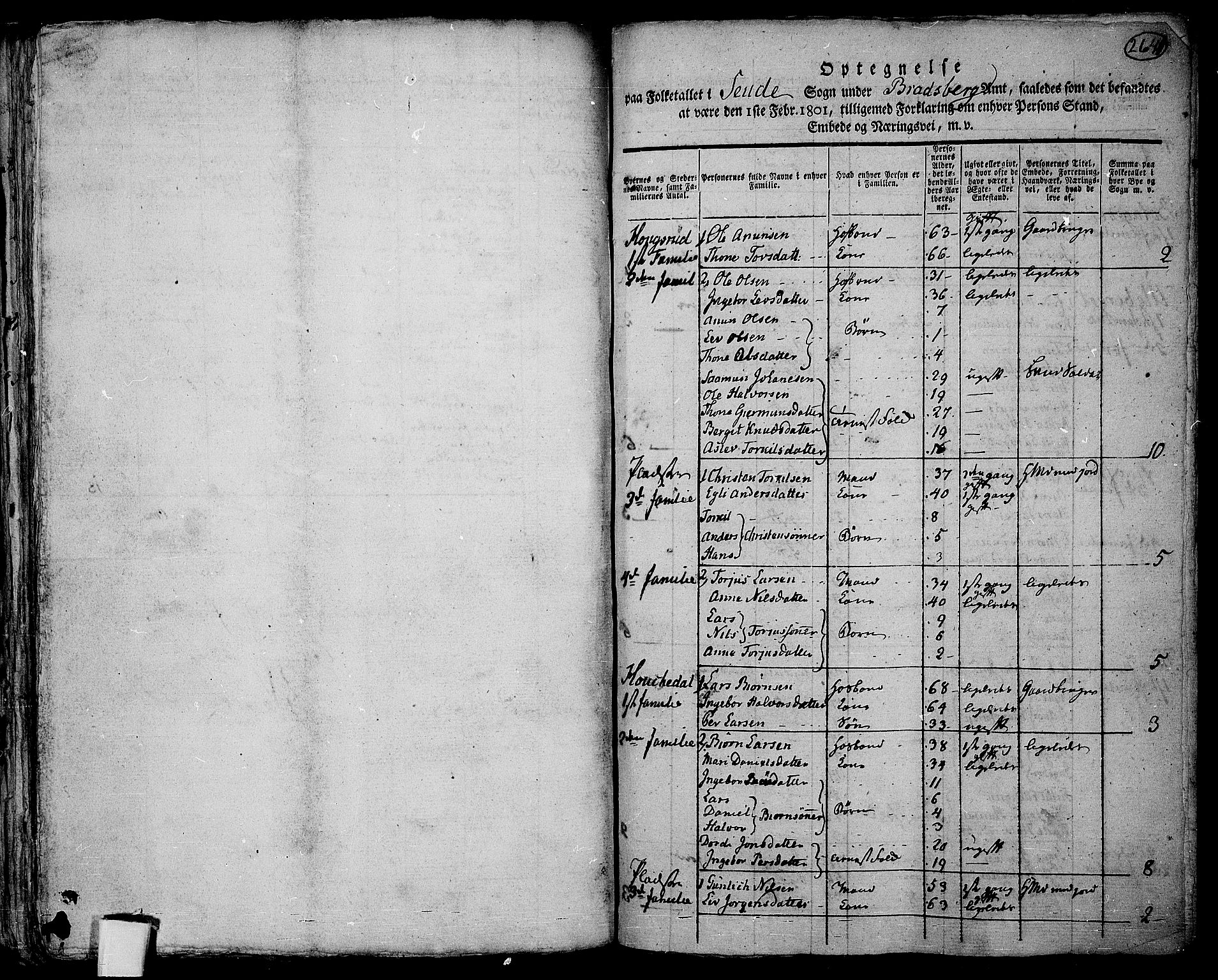 RA, 1801 census for 0822P Sauherad, 1801, p. 263b-264a