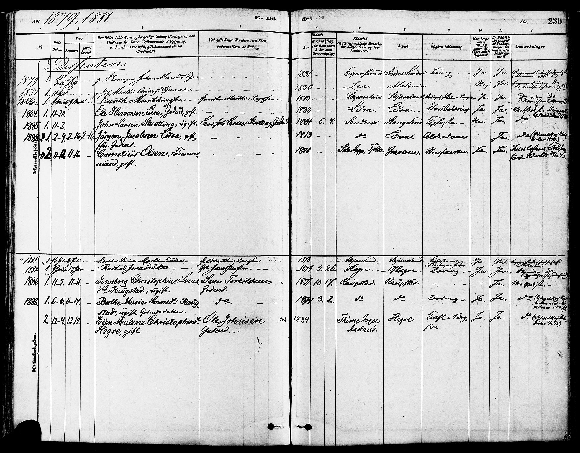 Høyland sokneprestkontor, SAST/A-101799/001/30BA/L0011: Parish register (official) no. A 10, 1878-1888, p. 236