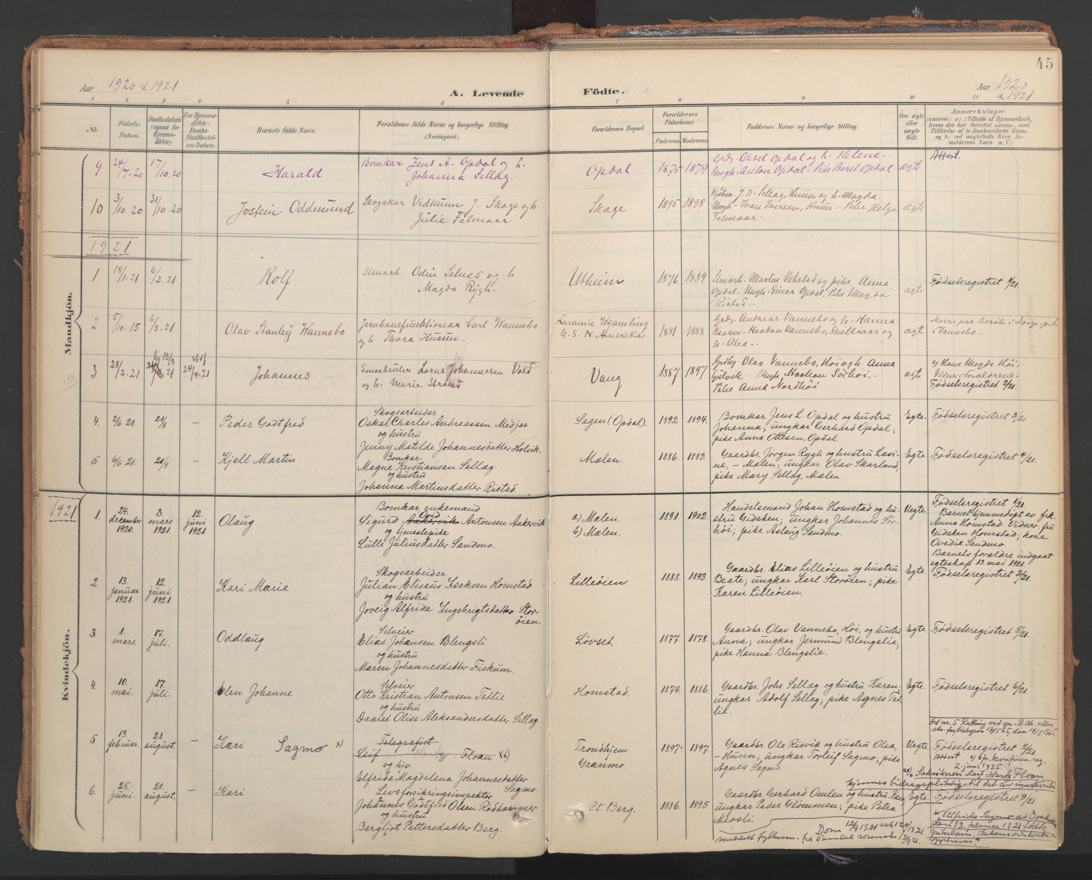 Ministerialprotokoller, klokkerbøker og fødselsregistre - Nord-Trøndelag, SAT/A-1458/766/L0564: Parish register (official) no. 767A02, 1900-1932, p. 45