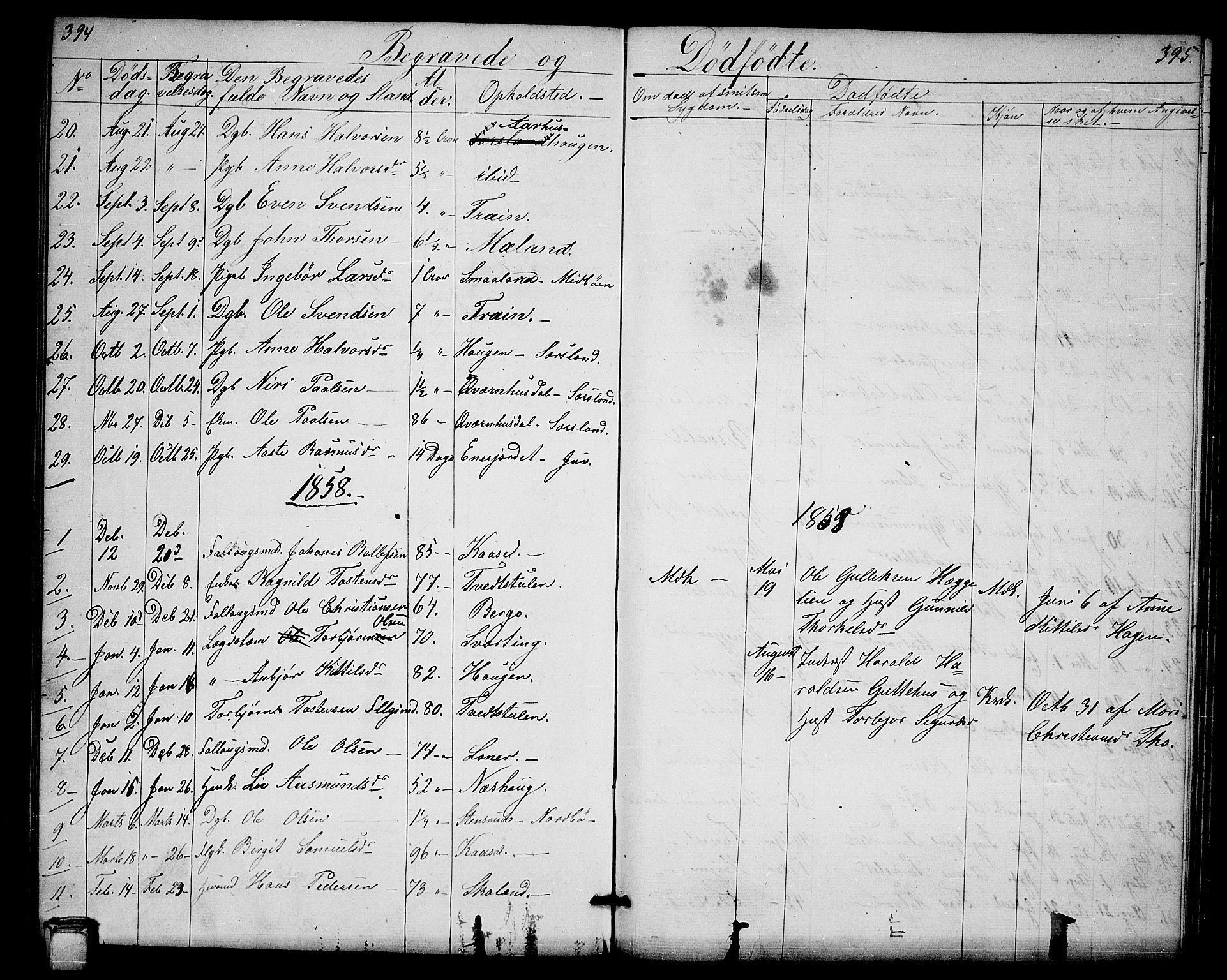 Hjartdal kirkebøker, SAKO/A-270/G/Ga/L0002: Parish register (copy) no. I 2, 1854-1888, p. 394-395