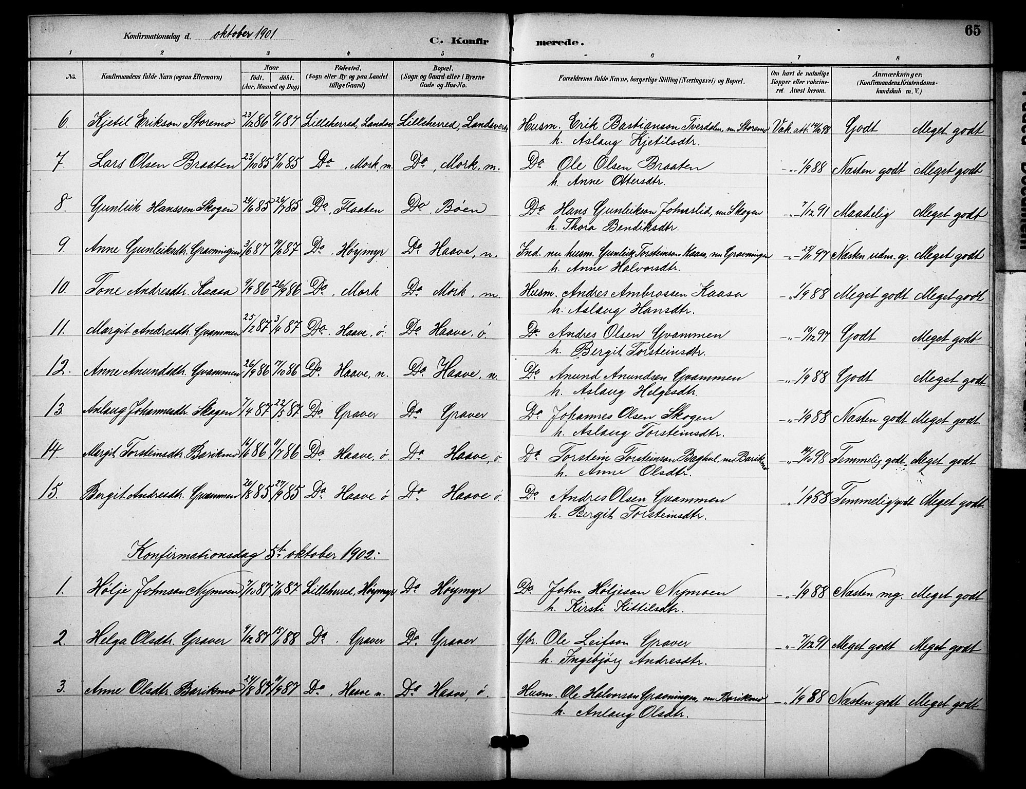 Heddal kirkebøker, SAKO/A-268/F/Fb/L0001: Parish register (official) no. II 1, 1884-1910, p. 65