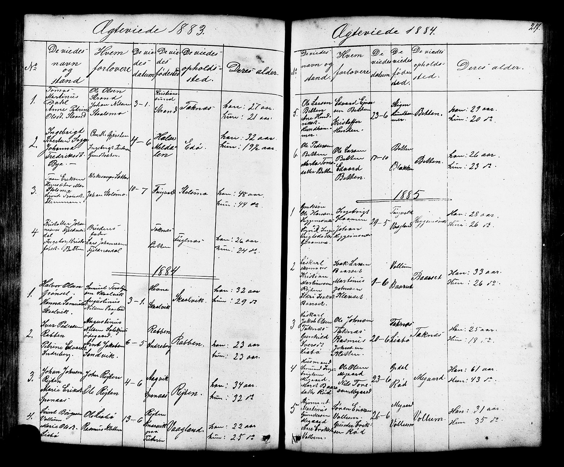Ministerialprotokoller, klokkerbøker og fødselsregistre - Møre og Romsdal, SAT/A-1454/576/L0890: Parish register (copy) no. 576C01, 1837-1908, p. 217
