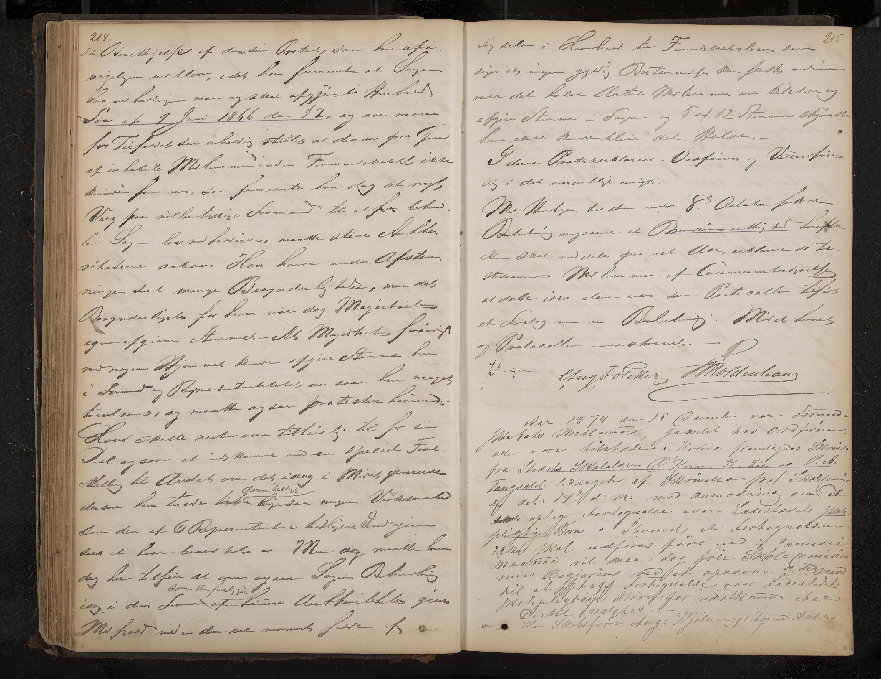 Åsgårdstrand formannskap og sentraladministrasjon, IKAK/0704021/A/L0002: Møtebok, 1865-1890, p. 214-215