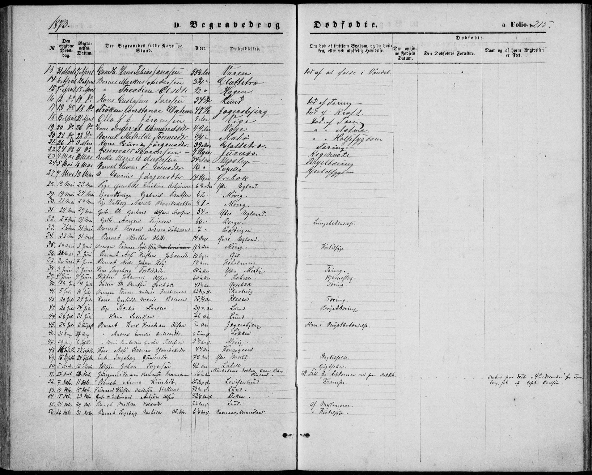 Oddernes sokneprestkontor, SAK/1111-0033/F/Fb/Fba/L0007: Parish register (copy) no. B 7, 1869-1887, p. 215