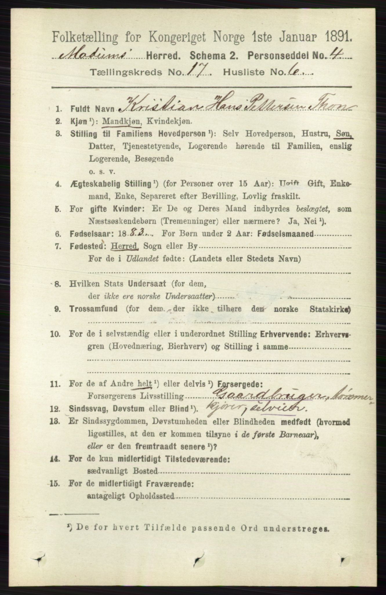 RA, 1891 census for 0623 Modum, 1891, p. 6665