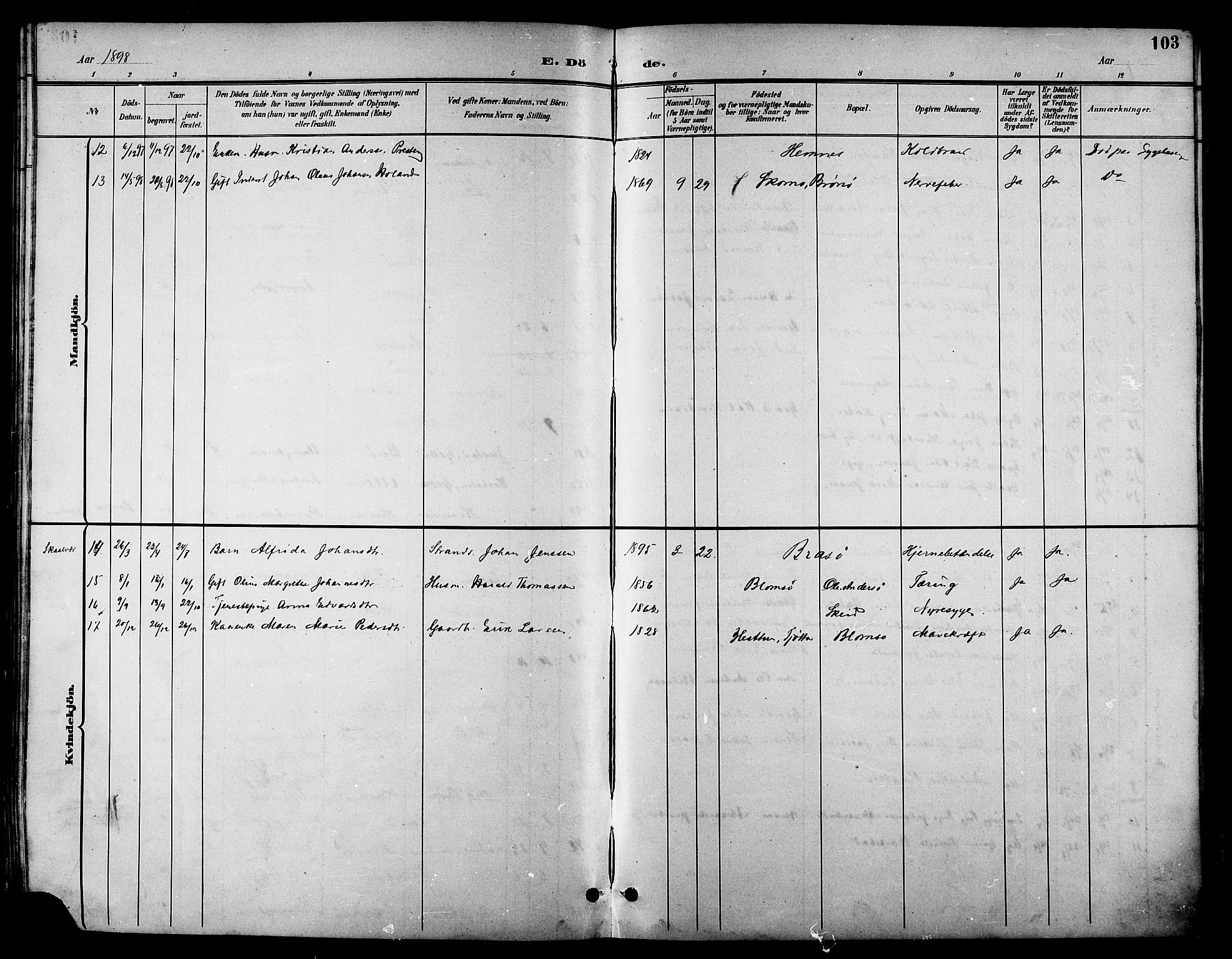Ministerialprotokoller, klokkerbøker og fødselsregistre - Nordland, SAT/A-1459/830/L0463: Parish register (copy) no. 830C05, 1895-1906, p. 103