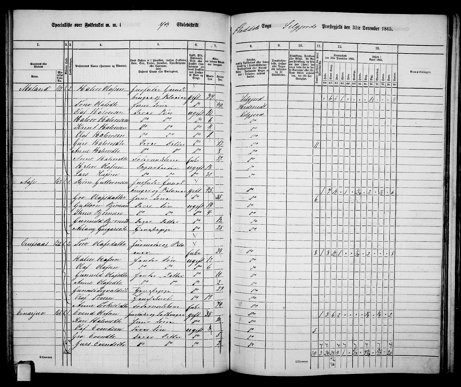 RA, 1865 census for Seljord, 1865, p. 102