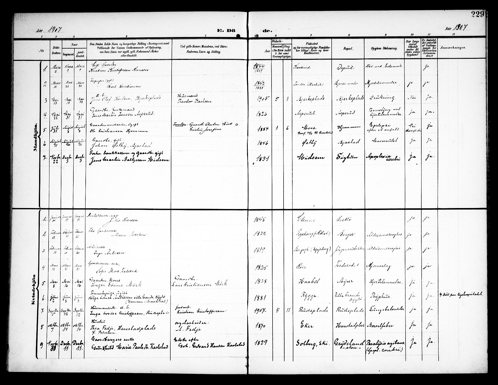 Kråkstad prestekontor Kirkebøker, AV/SAO-A-10125a/G/Ga/L0002: Parish register (copy) no. I 2, 1905-1934, p. 229