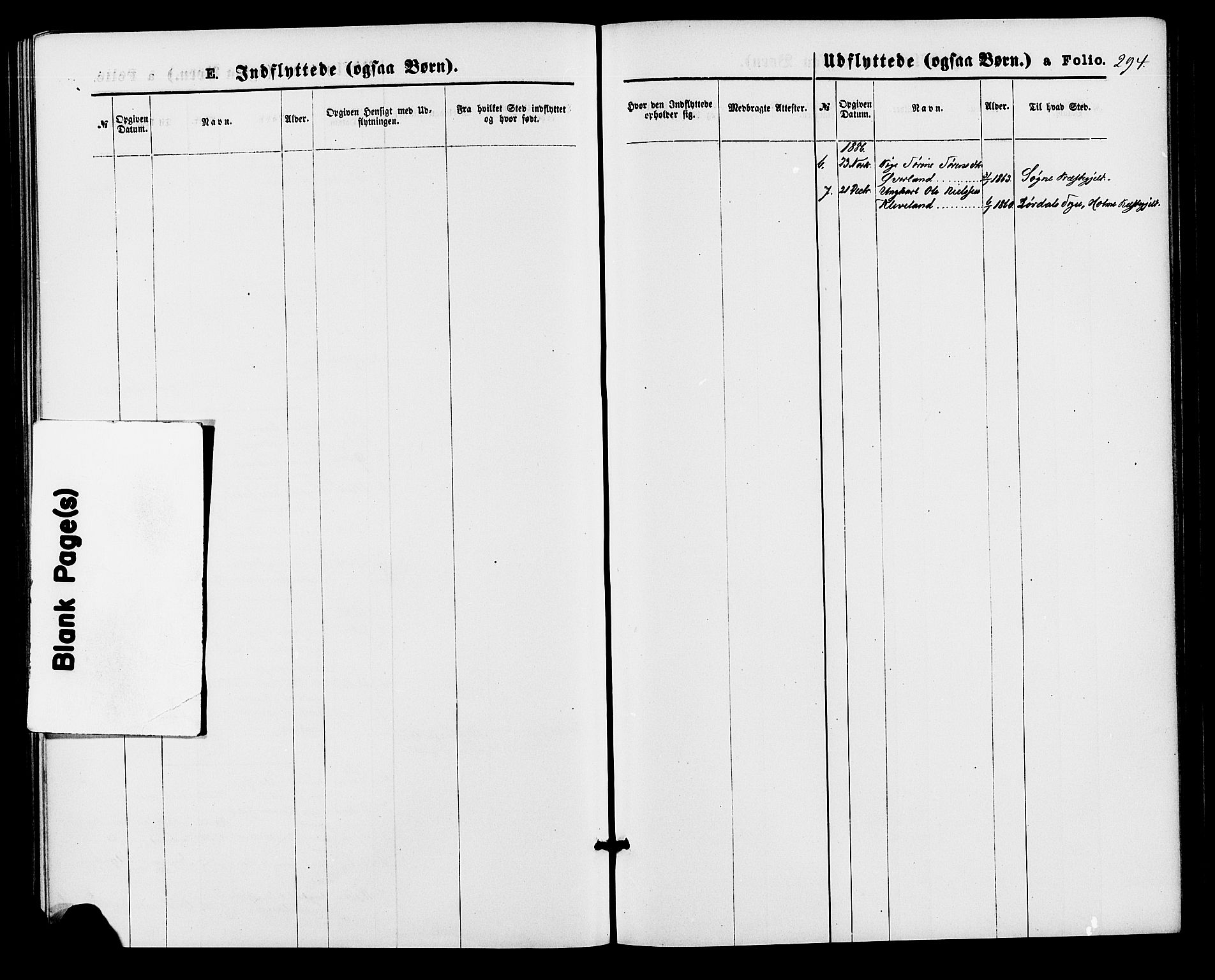 Bjelland sokneprestkontor, SAK/1111-0005/F/Fa/Fab/L0003: Parish register (official) no. A 3, 1870-1887, p. 294