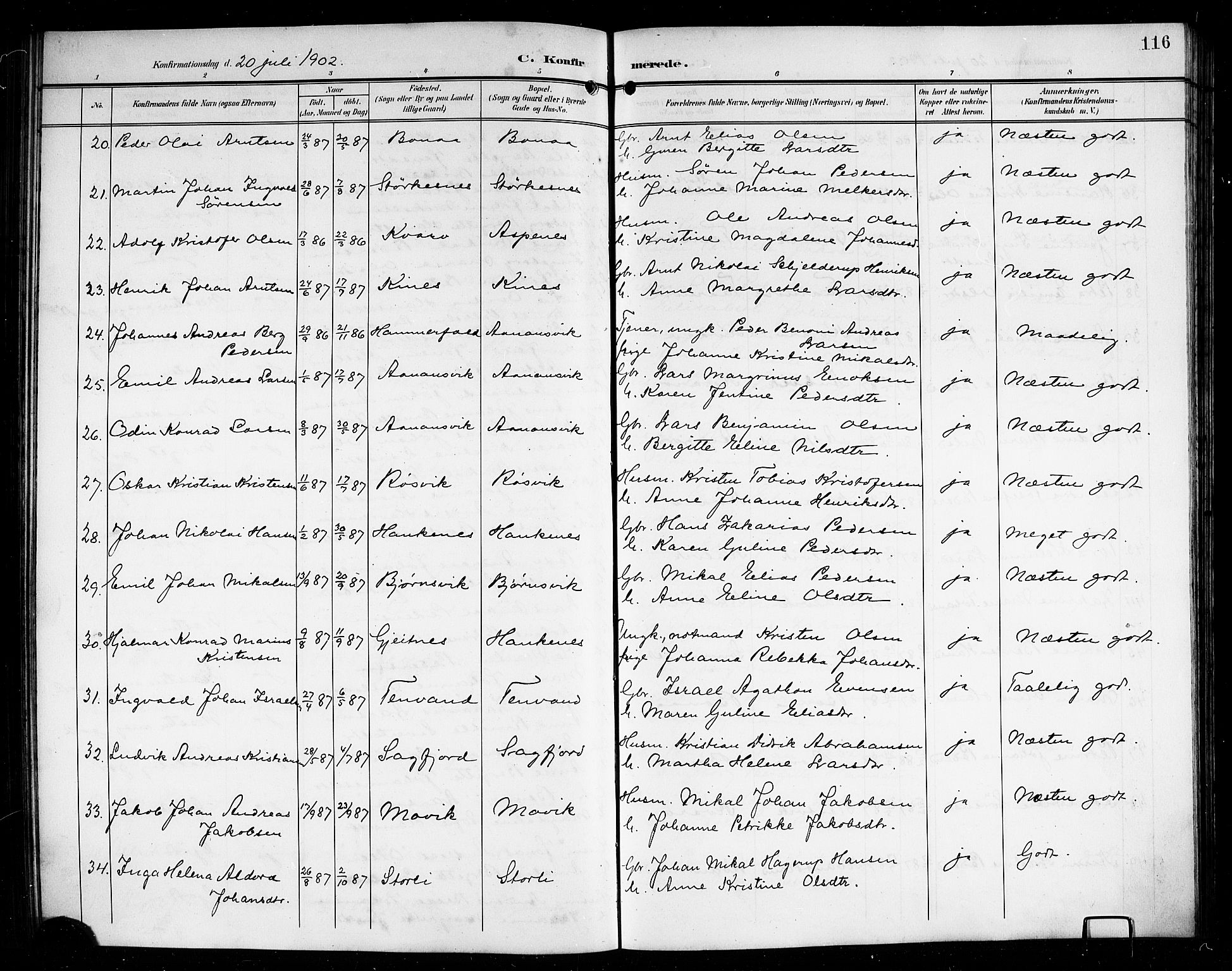 Ministerialprotokoller, klokkerbøker og fødselsregistre - Nordland, AV/SAT-A-1459/854/L0786: Parish register (copy) no. 854C02, 1901-1912, p. 116