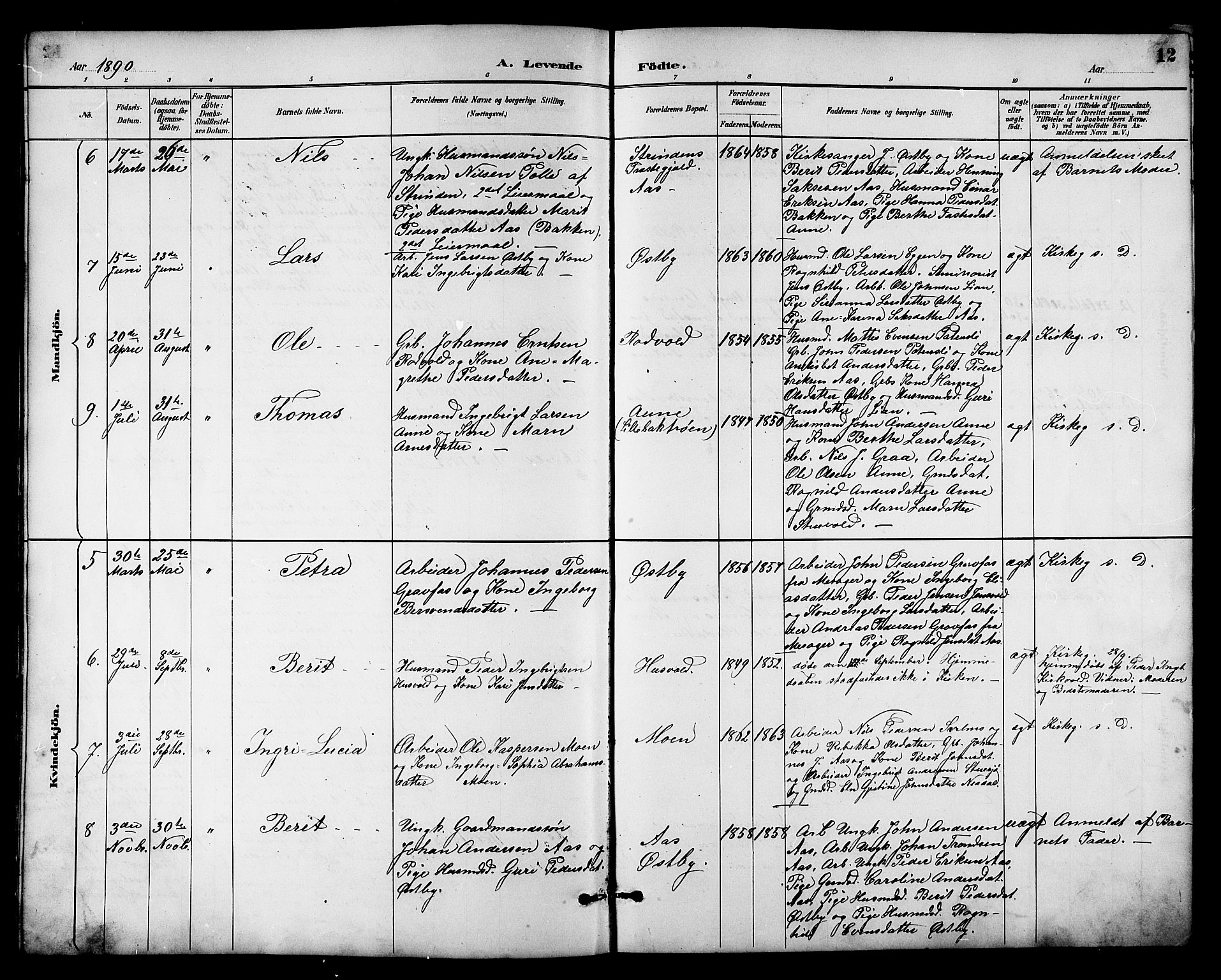 Ministerialprotokoller, klokkerbøker og fødselsregistre - Sør-Trøndelag, SAT/A-1456/698/L1167: Parish register (copy) no. 698C04, 1888-1907, p. 12