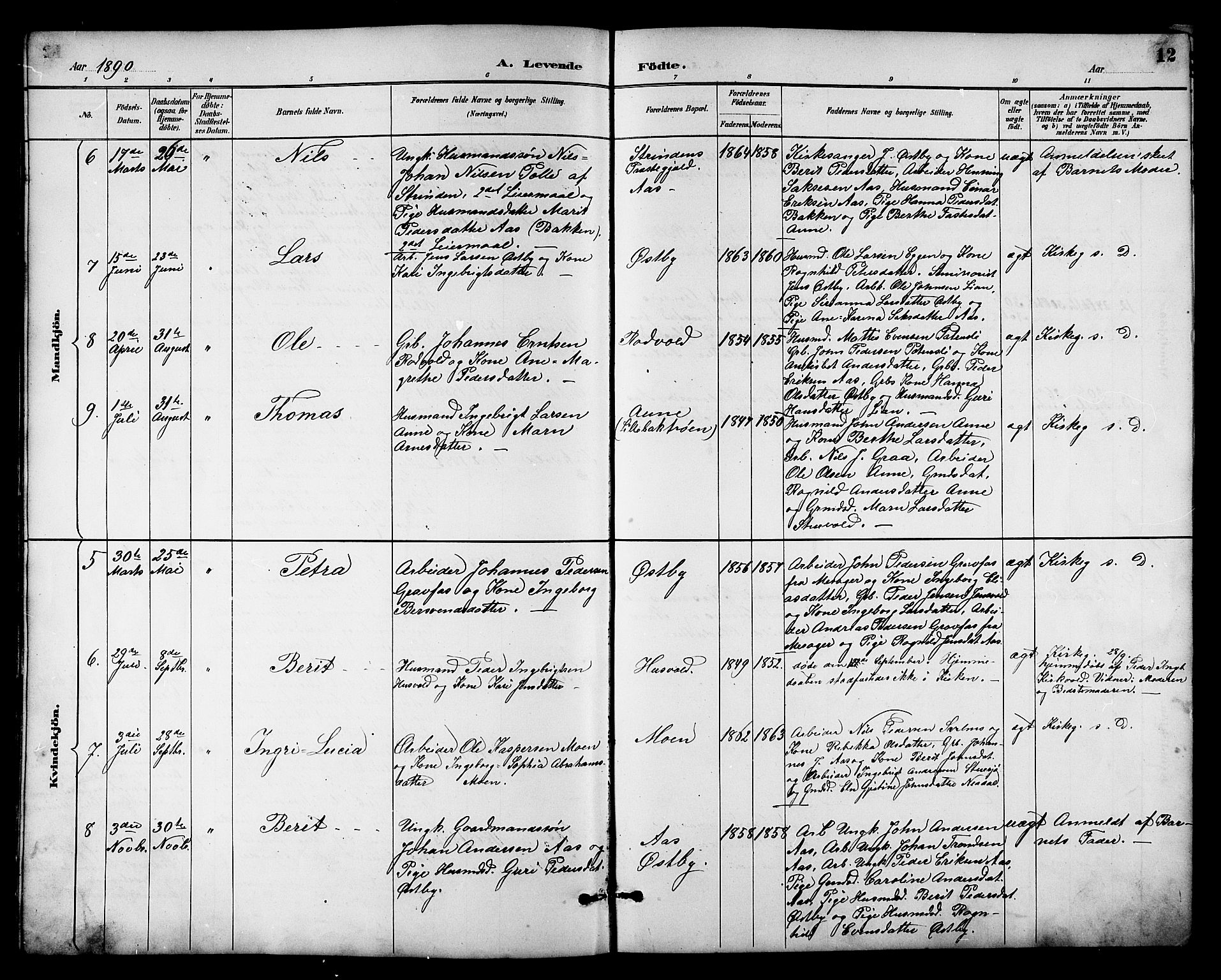 Ministerialprotokoller, klokkerbøker og fødselsregistre - Sør-Trøndelag, AV/SAT-A-1456/698/L1167: Parish register (copy) no. 698C04, 1888-1907, p. 12